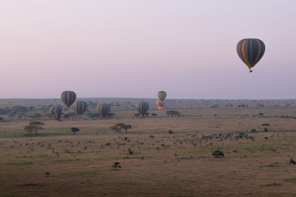 Ballone steigen in Dämmerung auf, Ballonfahrt im Serengeti Nationalpark, Globetrotter Select