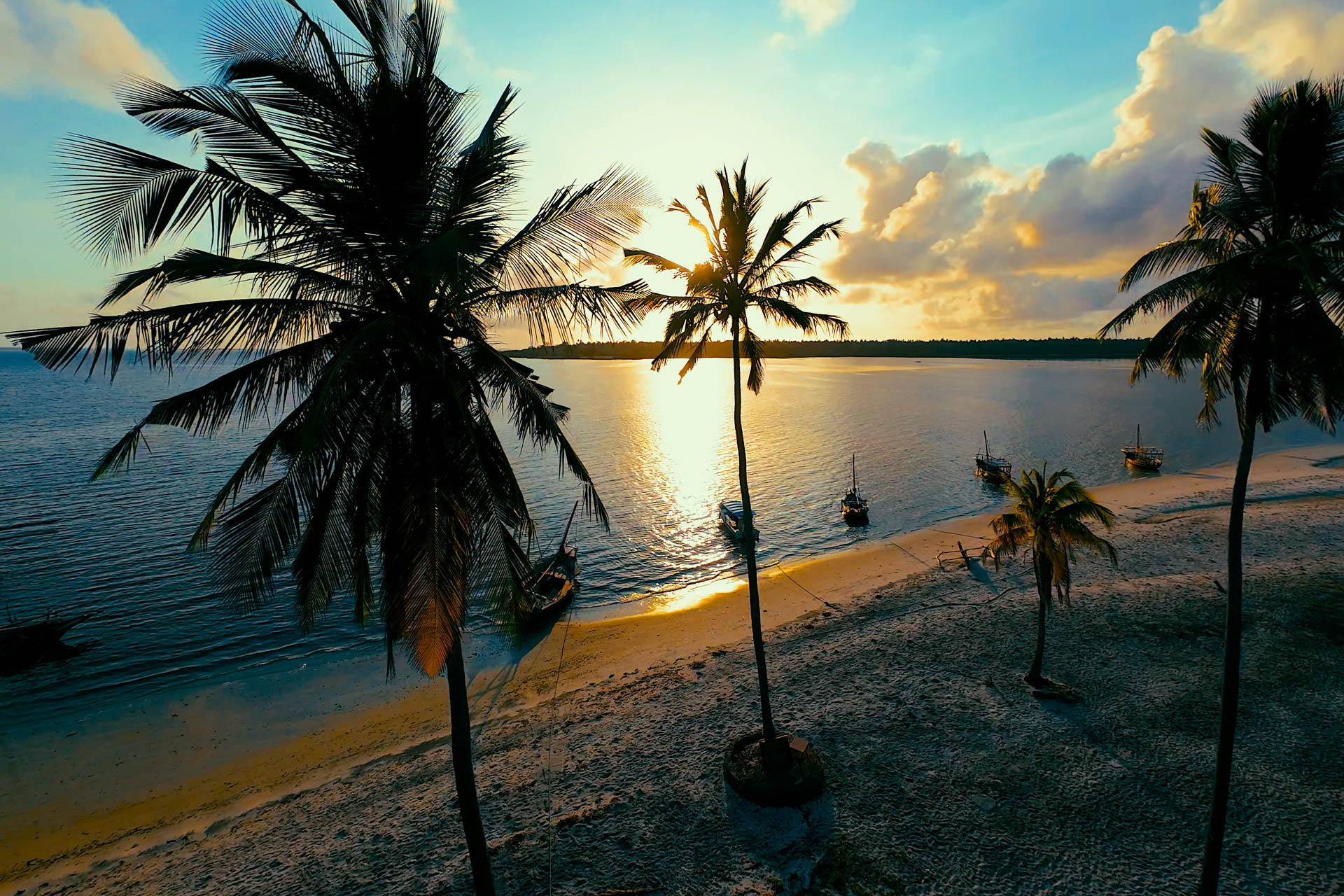 Basecamp Mafia Island