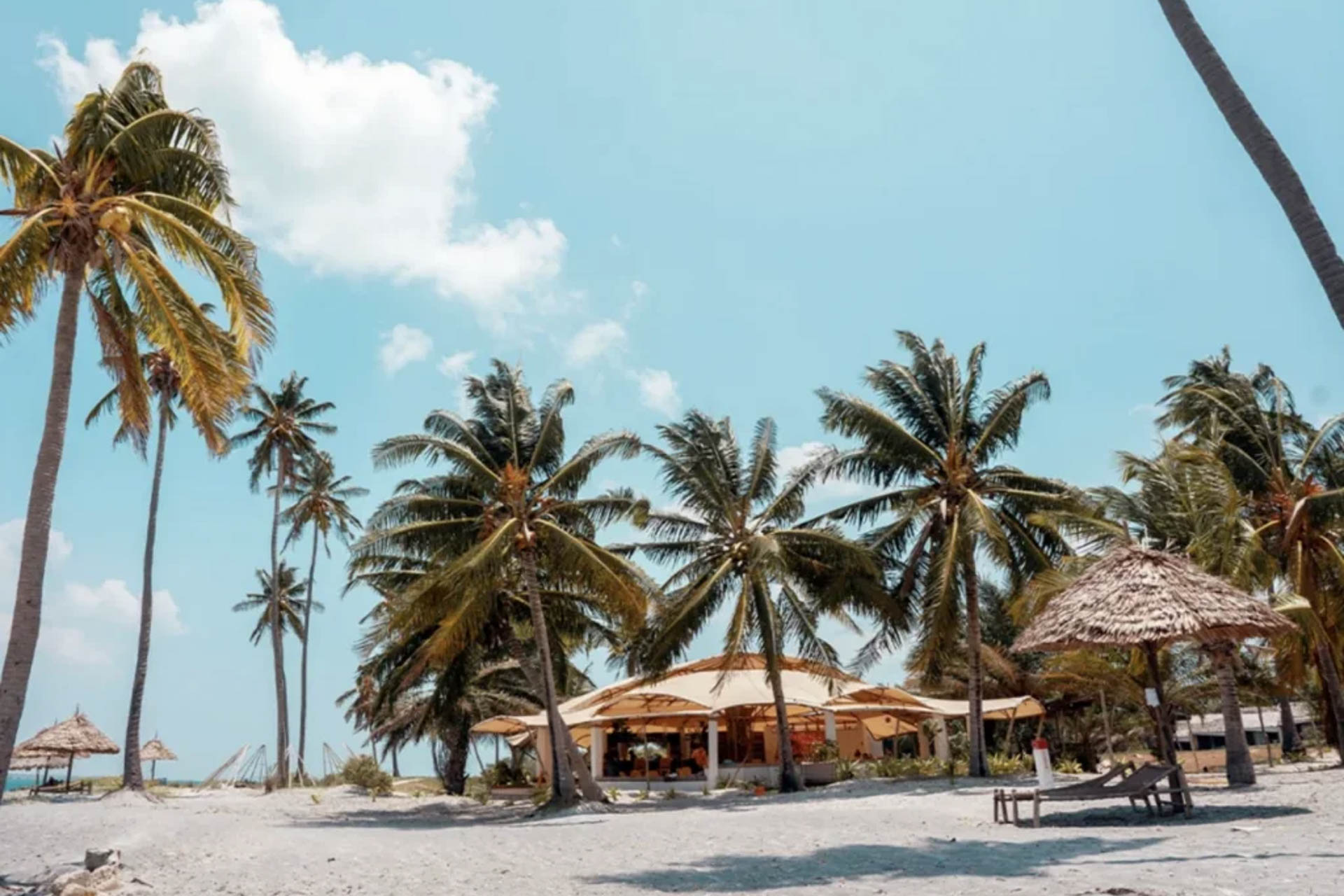 Basecamp Mafia Island, Strand mit Palmen