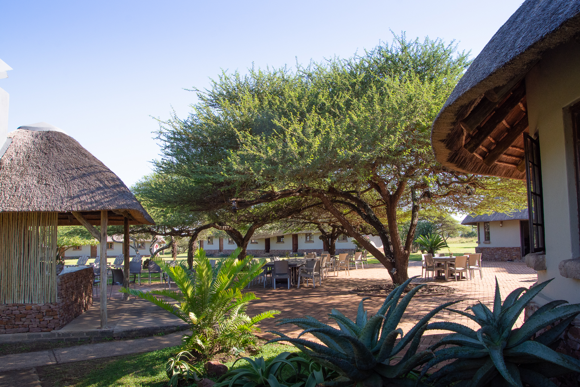 Bayala Private Game Lodge Suedafrika Globetrotter Select 24