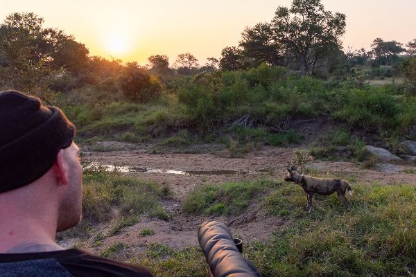 Beni im Sabi Sands