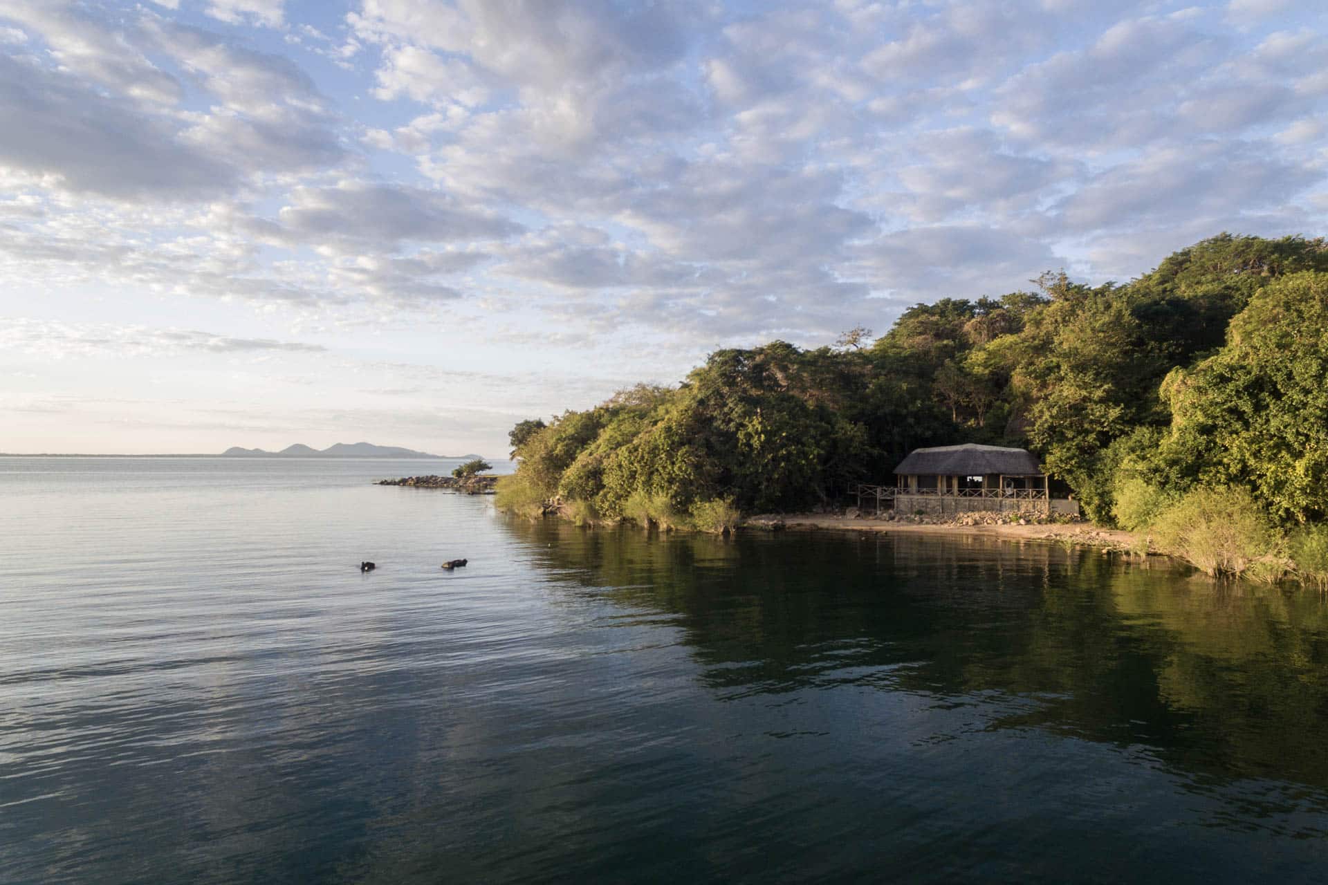 Blue Zebra Island Lodge
