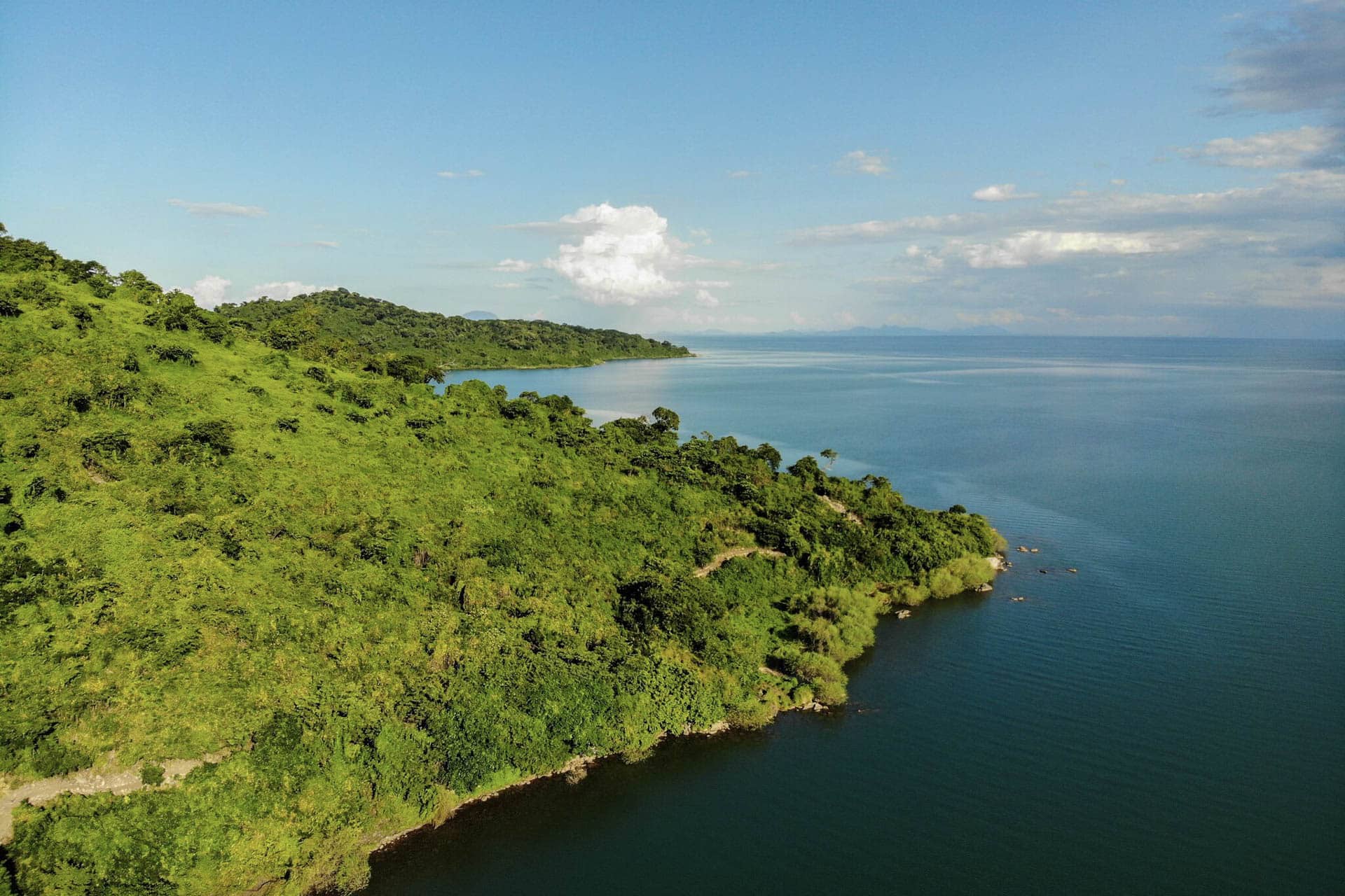 Blue Zebra Island Lodge