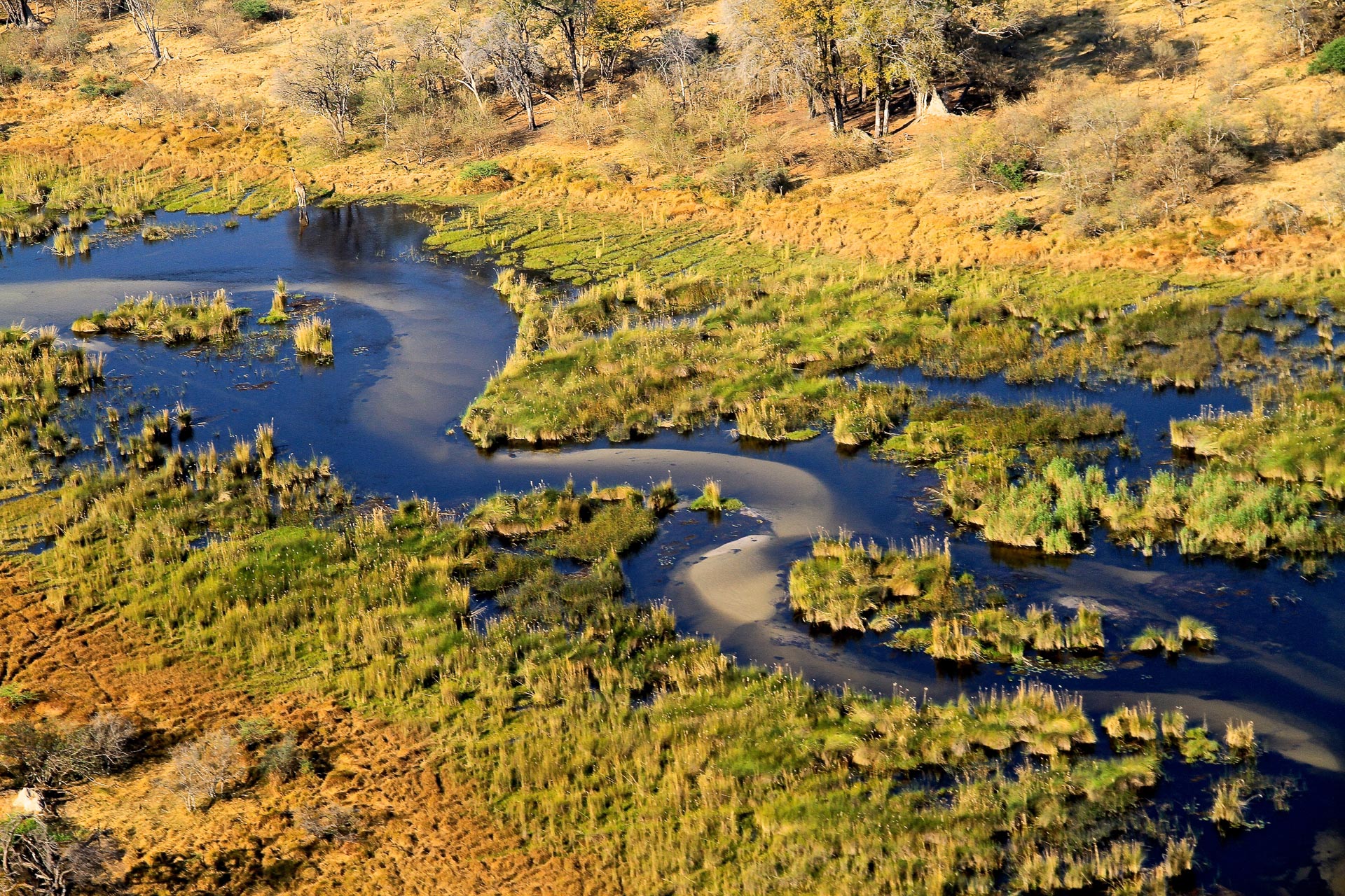 Okavango Delta in Botswana - Globetrotter Select