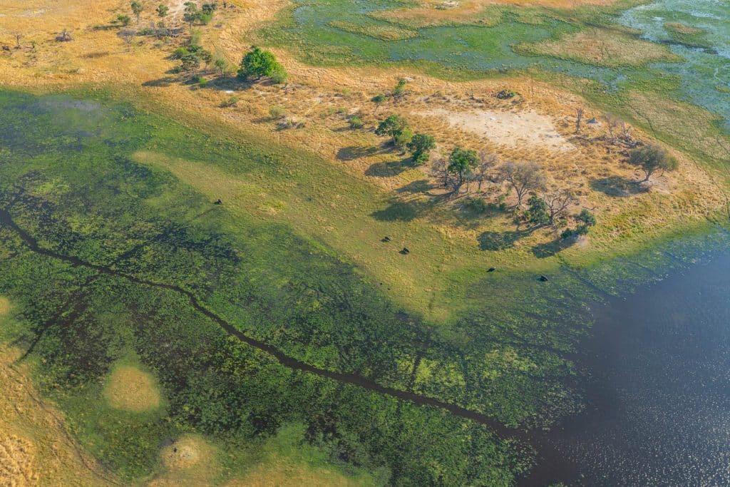 Beste Reisezeit Botswana: Klima & Reisezeitkalender Okavango Delta von oben