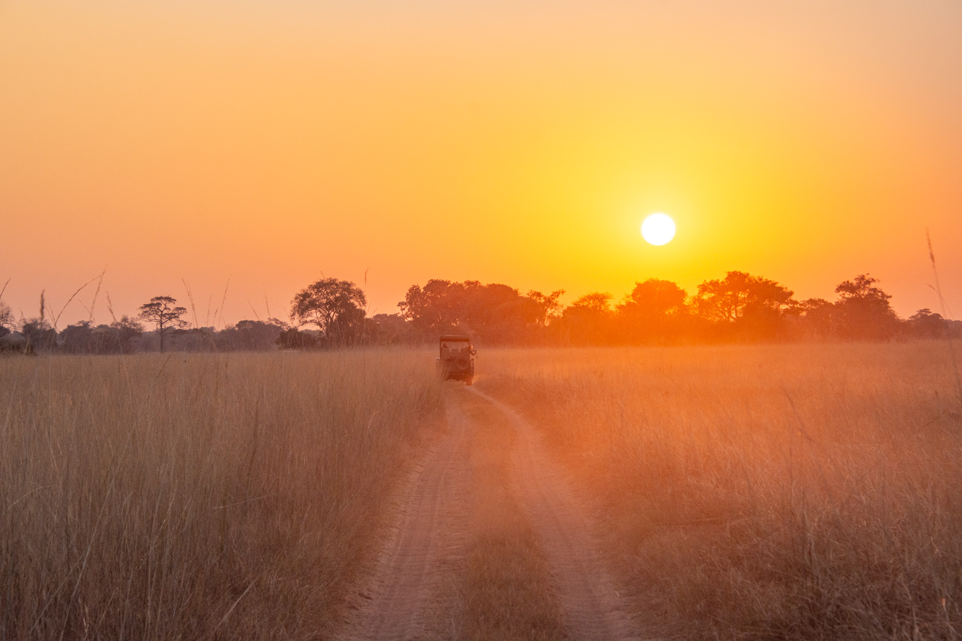 Busanga-Plains-Kafue-Sambia-Globetrotter-Select-33