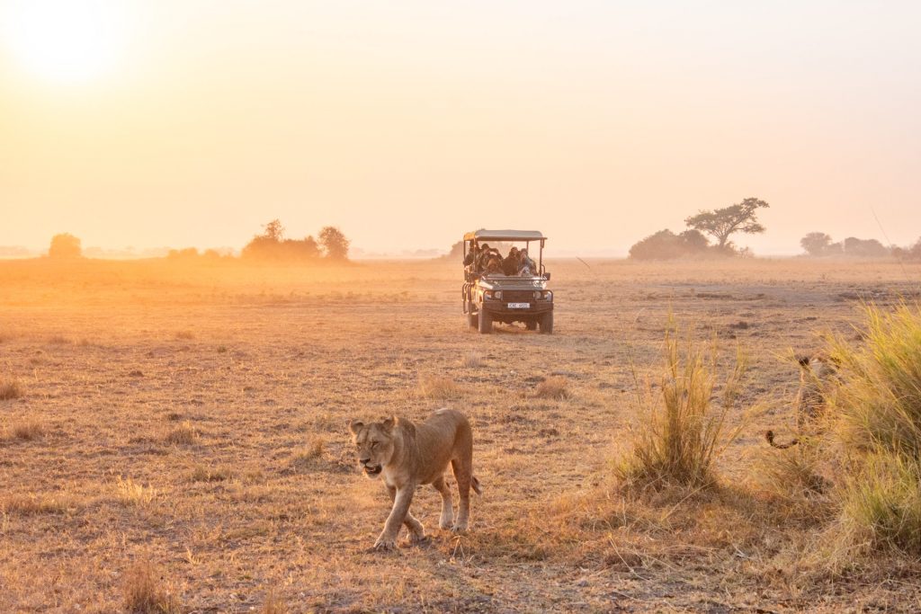 Busanga Plains Kafue Sambia Globetrotter Select 48