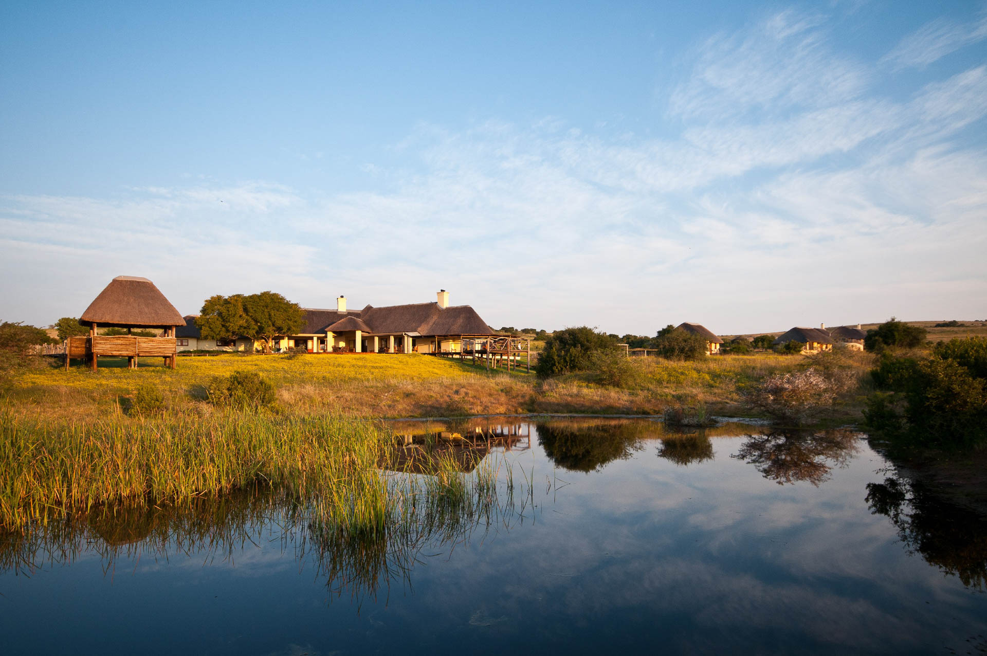 Hlosi Game Lodge Amakhala Suedafrika 57
