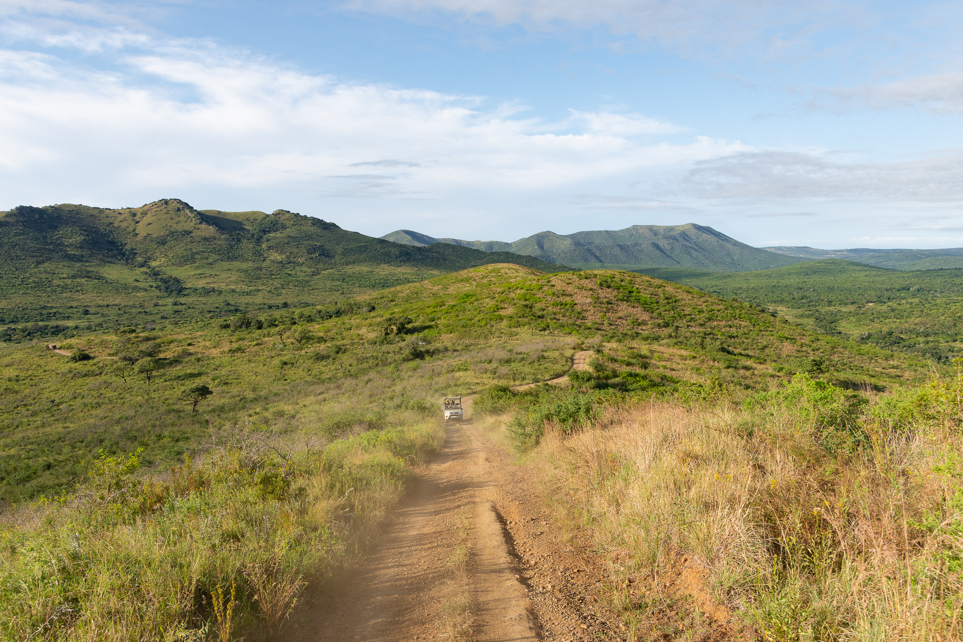Hluhluwe Nationalpark in Südafrika - Globetrotter Select