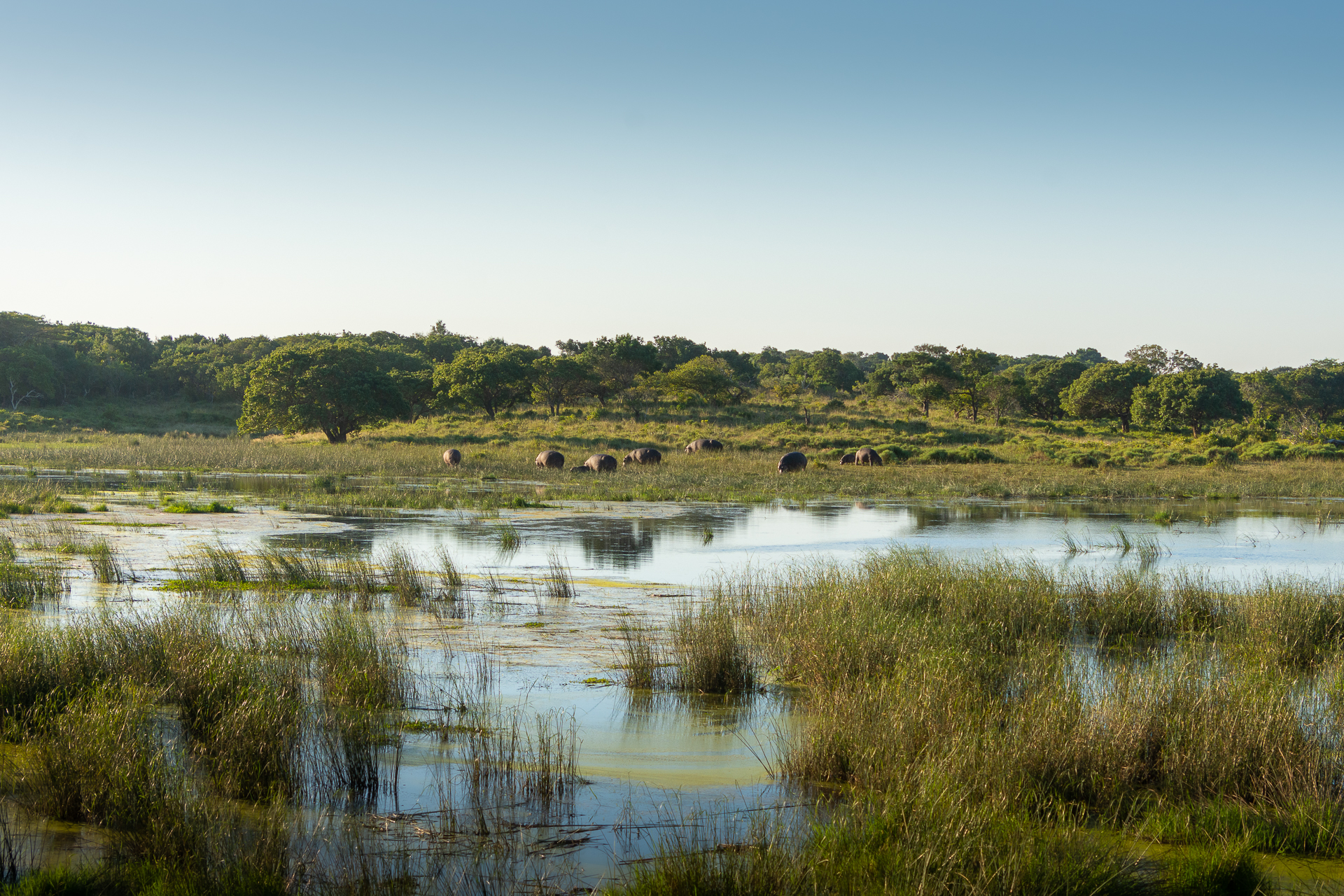 Isimangaliso Wetlands Park in Südafrika - Globetrotter Select