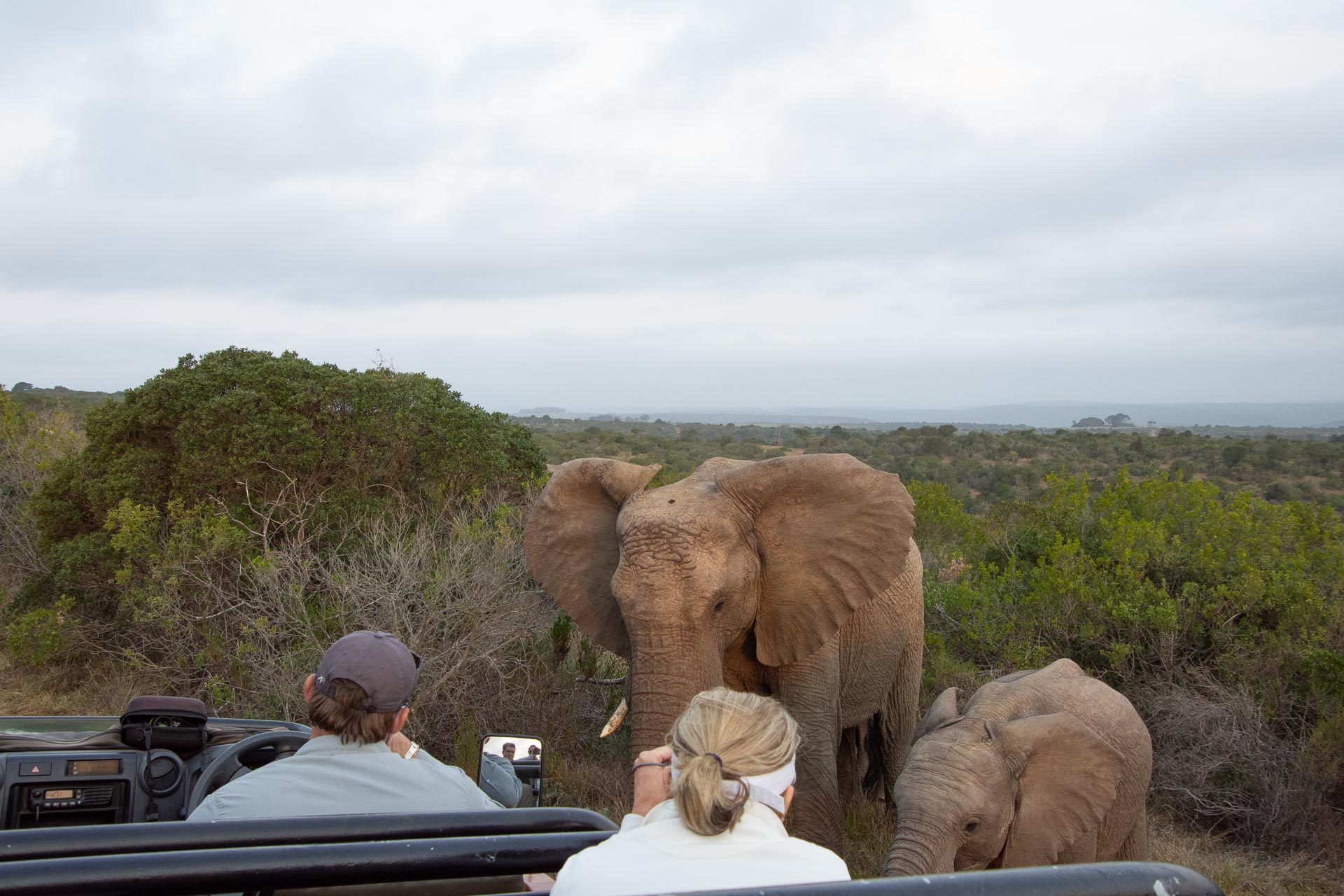 Kariega Game Reserve in Südafrika - Globetrotter Select