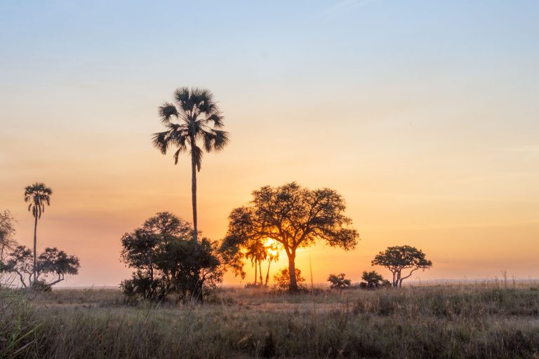 Katavi Nationalpark Tansania Globetrotter Select 36