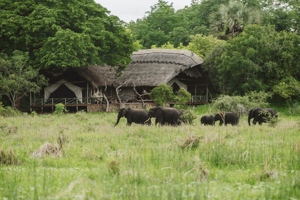 Katavi Wildlife Camp