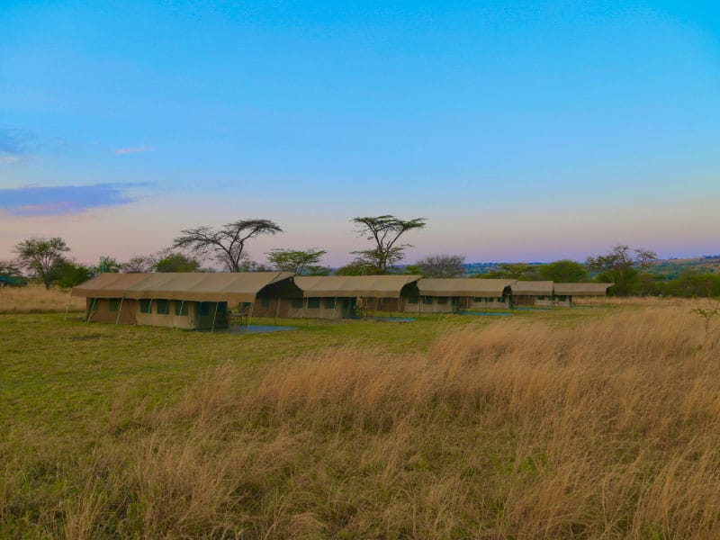 Kimbilio-Serengeti-Camp-12