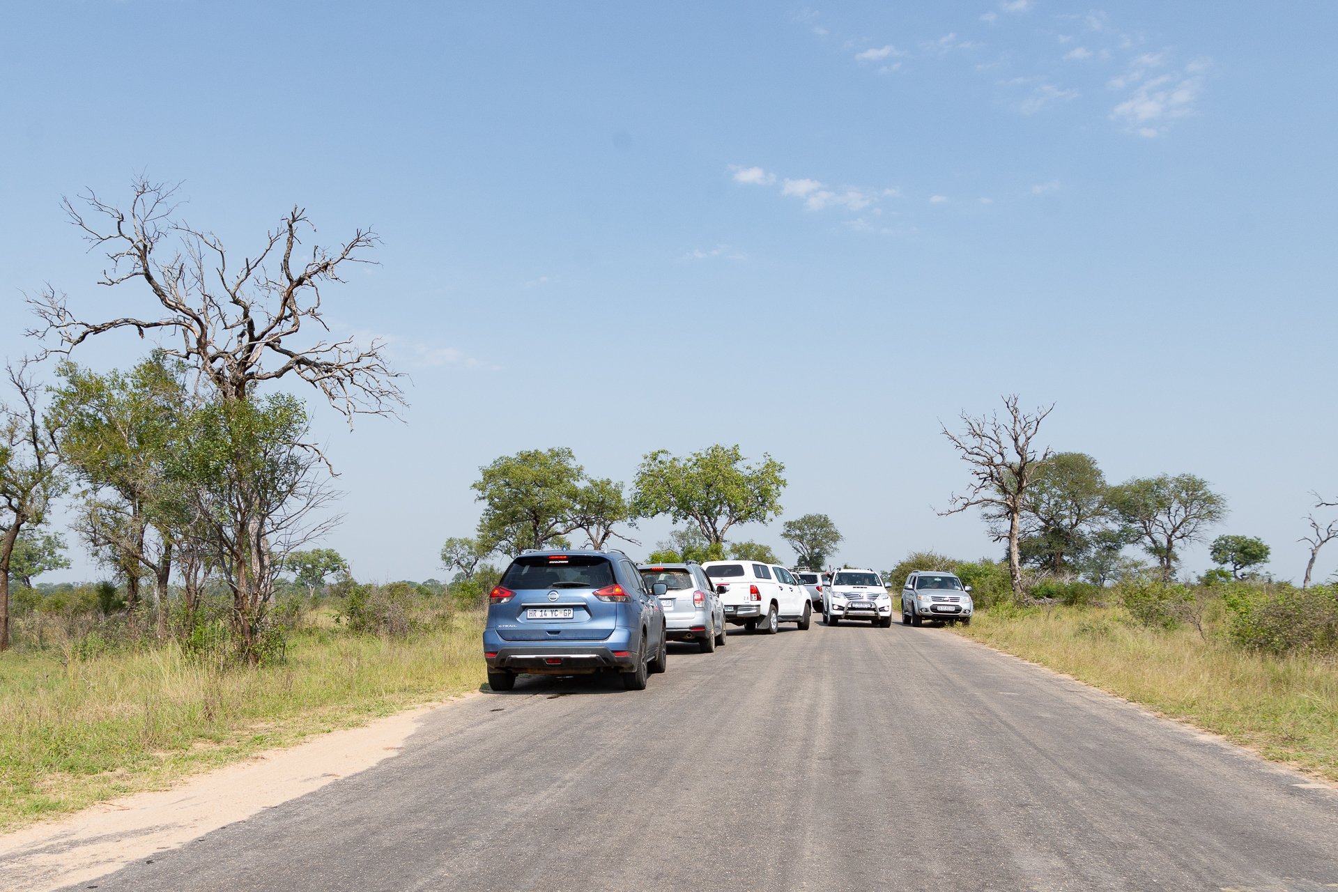 Kruger-Nationalpark-Suedafrika-Globetrotter-Select-33