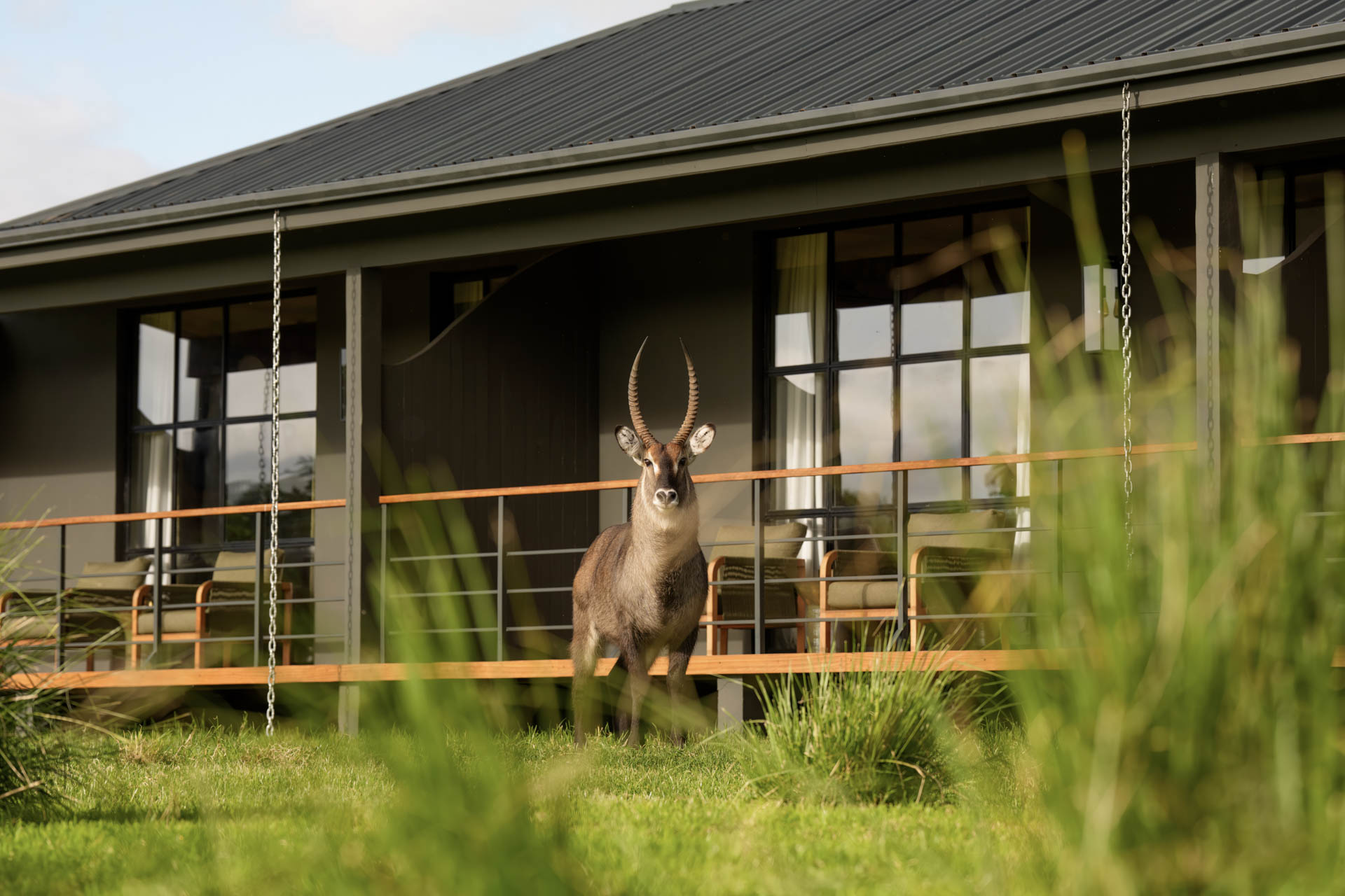 Laba Ngorongoro Lodge