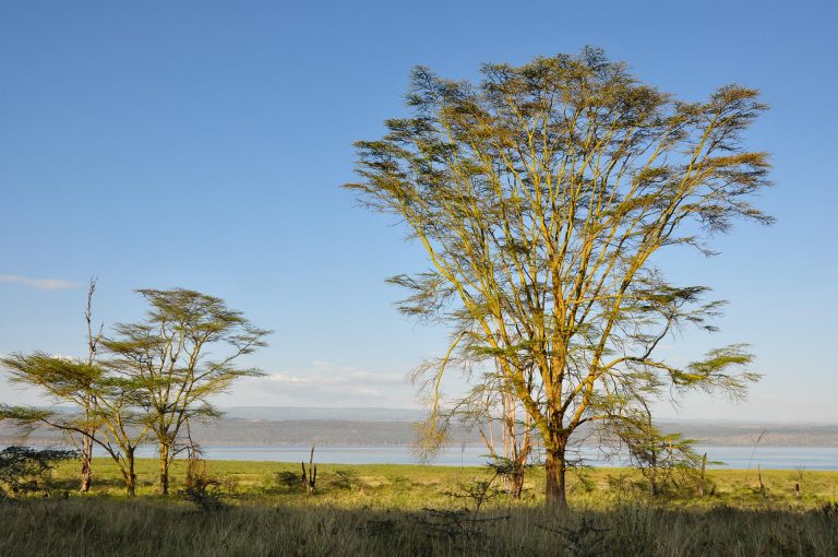 Lake Nakuru Nationalpark - Globetrotter Select