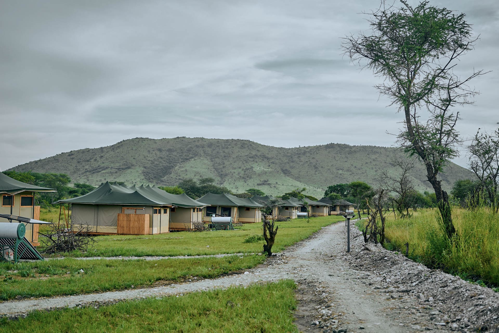Land of Nature Camp