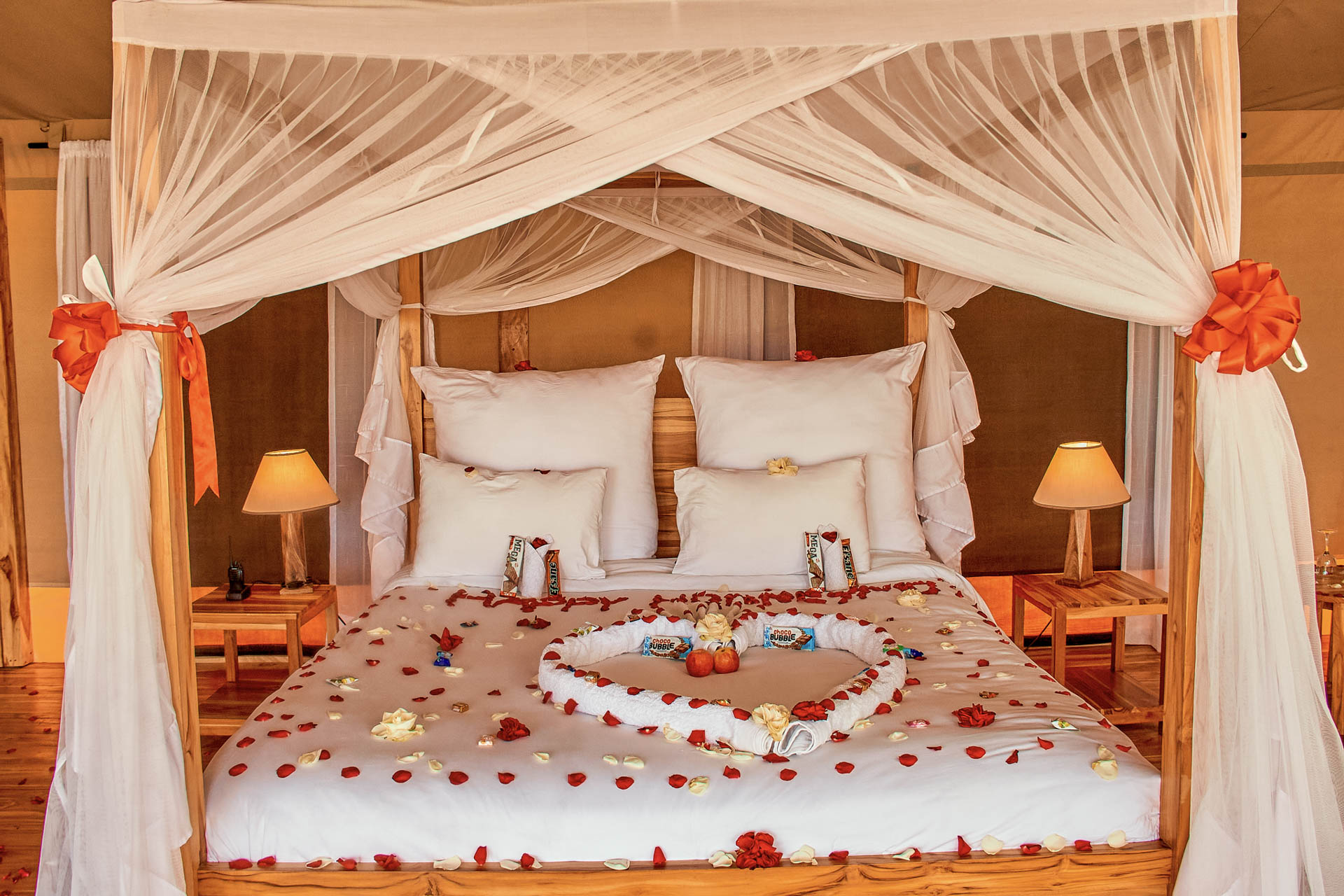 Land of Nature Camp Serengeti