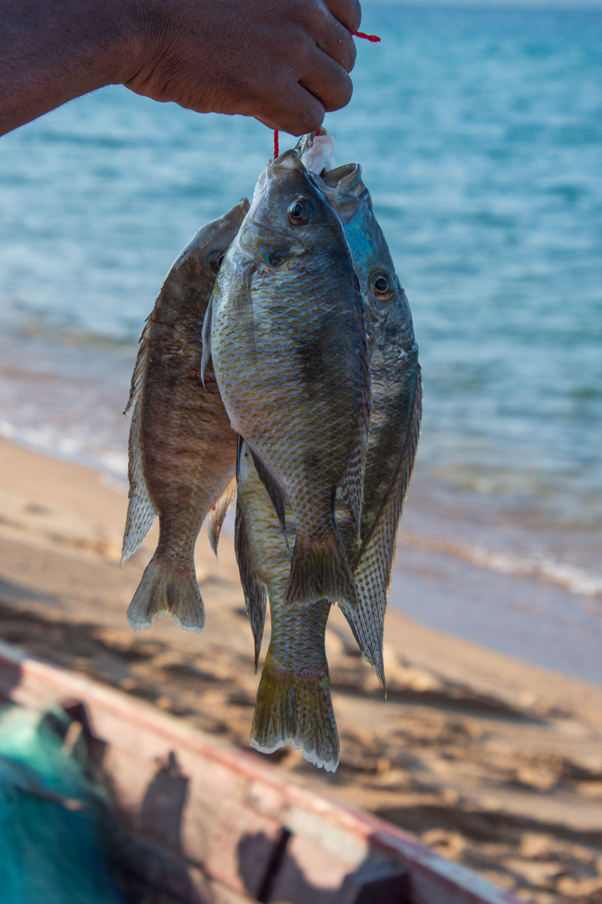 Likoma-Island-Globetrotter-Select-24
