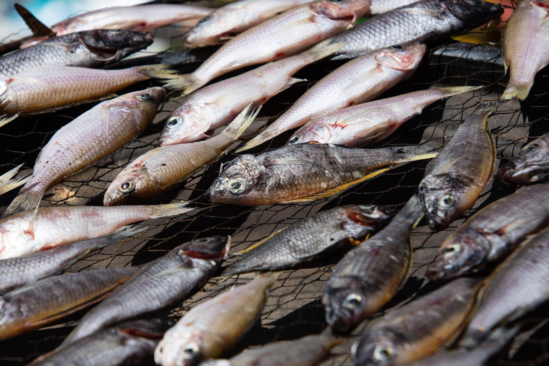 Likoma-Island-Globetrotter-Select-35