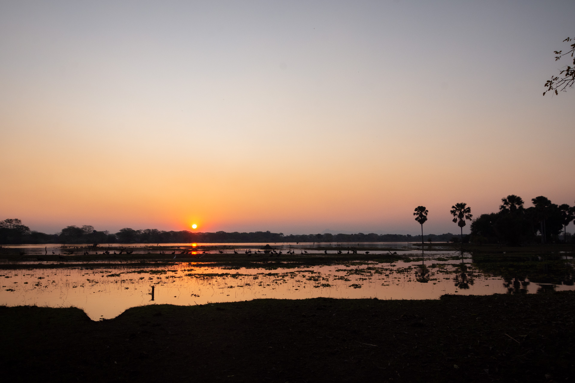 Liwonde-Nationalpark-Malawi-Globetrotter-Select-11