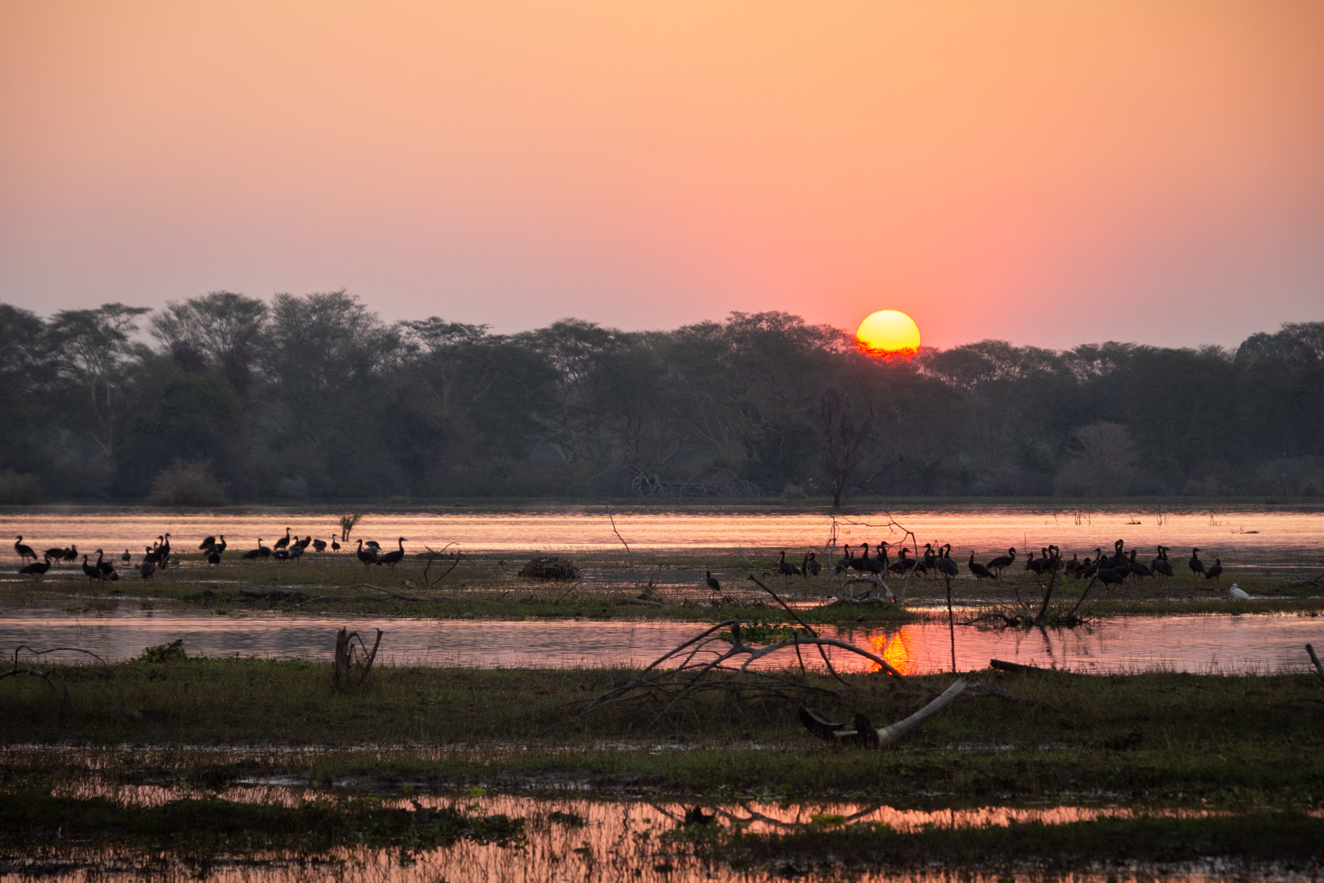 Liwonde-Nationalpark-Malawi-Globetrotter-Select-14