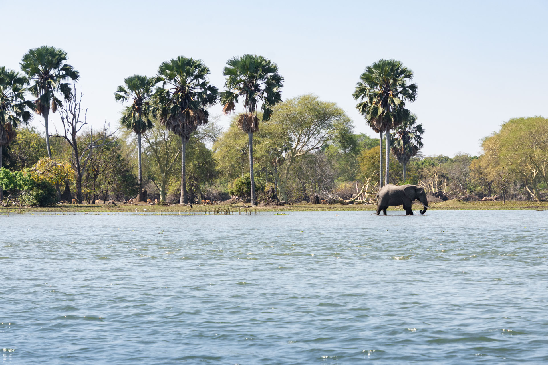 Liwonde-Nationalpark-Malawi-Globetrotter-Select-53