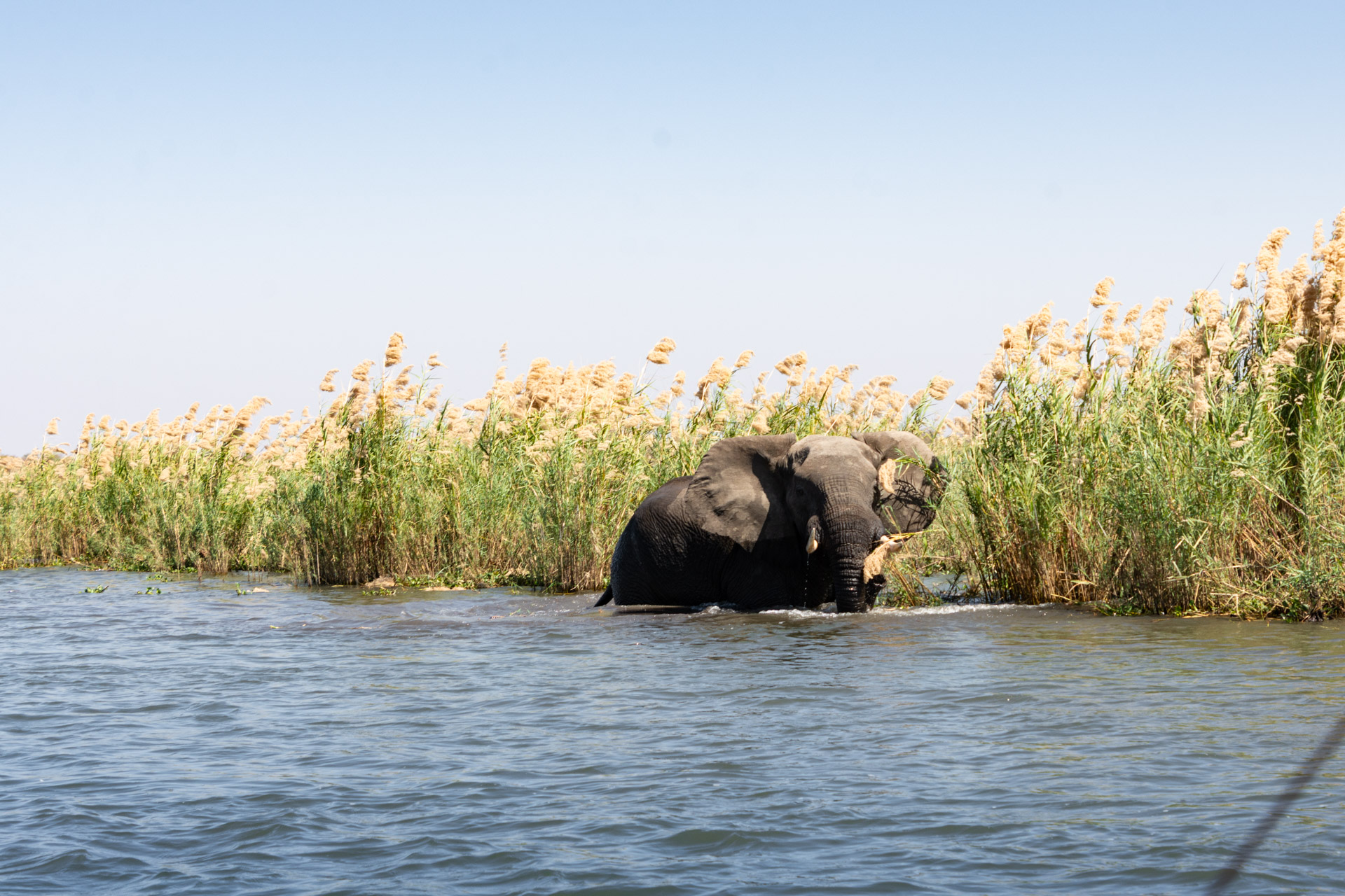Liwonde-Nationalpark-Malawi-Globetrotter-Select-54