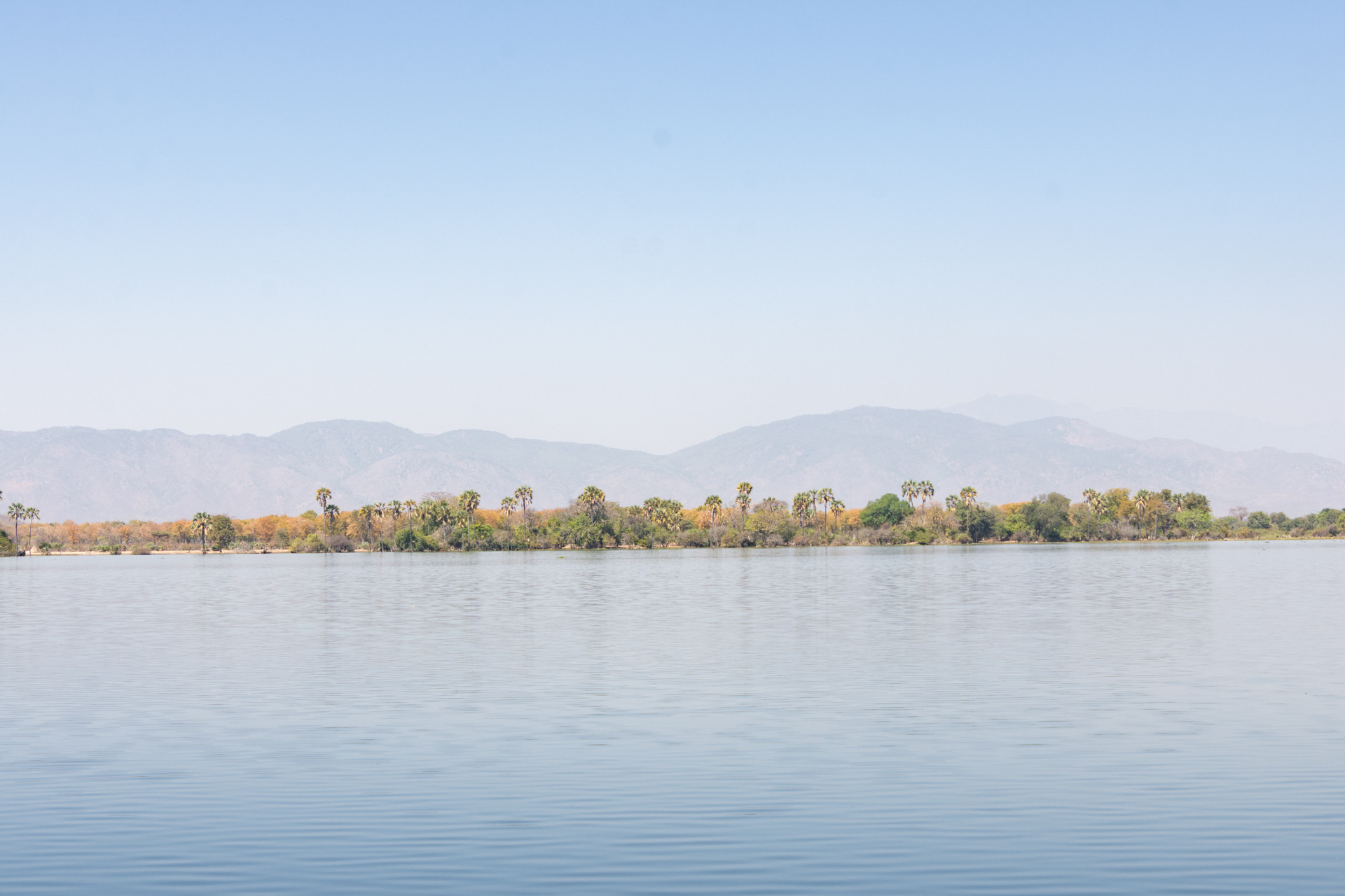 Liwonde-Nationalpark-Malawi-Globetrotter-Select-56