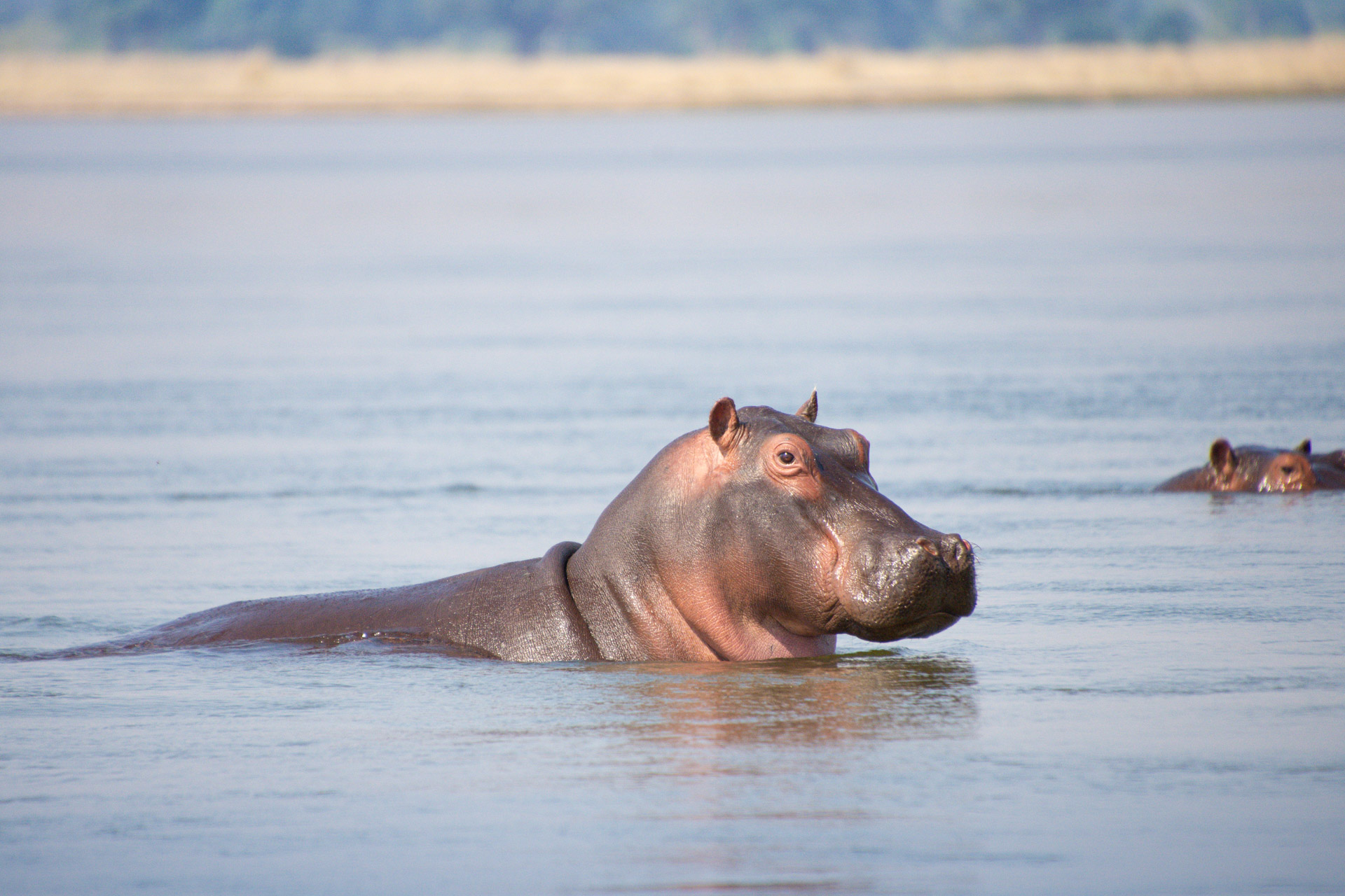 Lower-Zambezi-Nationalpark-Sambia-Globetrotter-Select-15