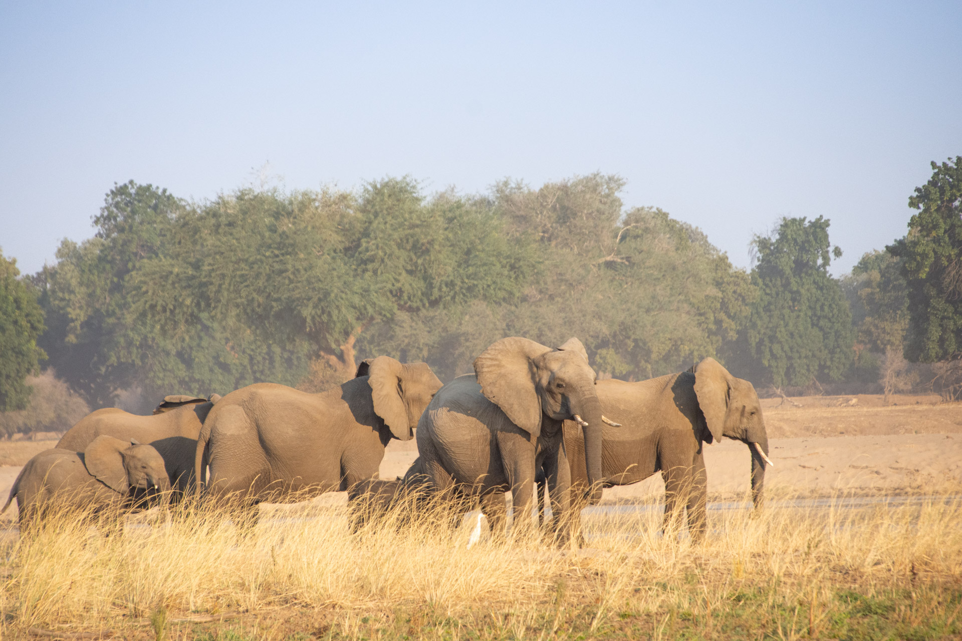Lower-Zambezi-Nationalpark-Sambia-Globetrotter-Select-2