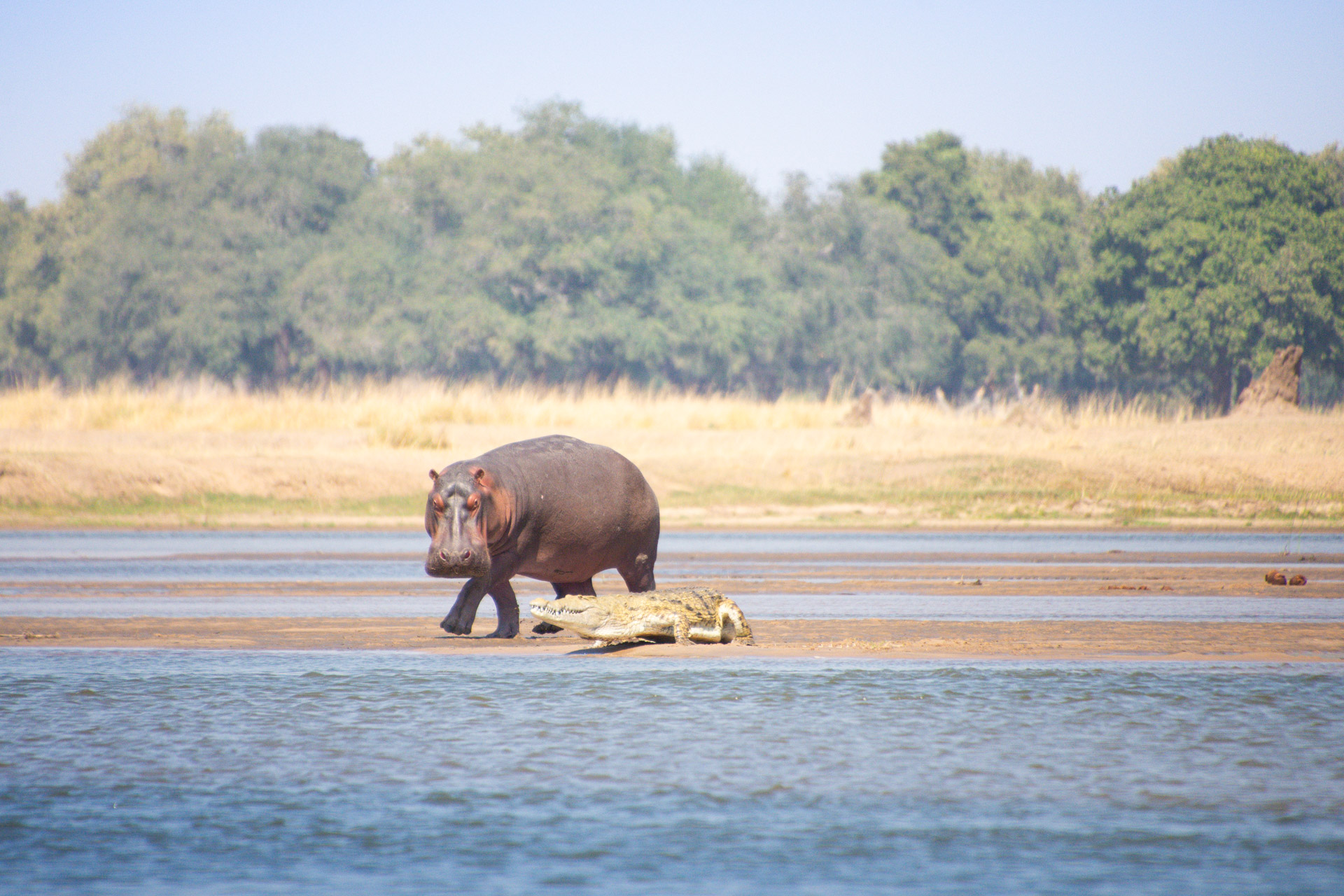 Lower-Zambezi-Nationalpark-Sambia-Globetrotter-Select-21