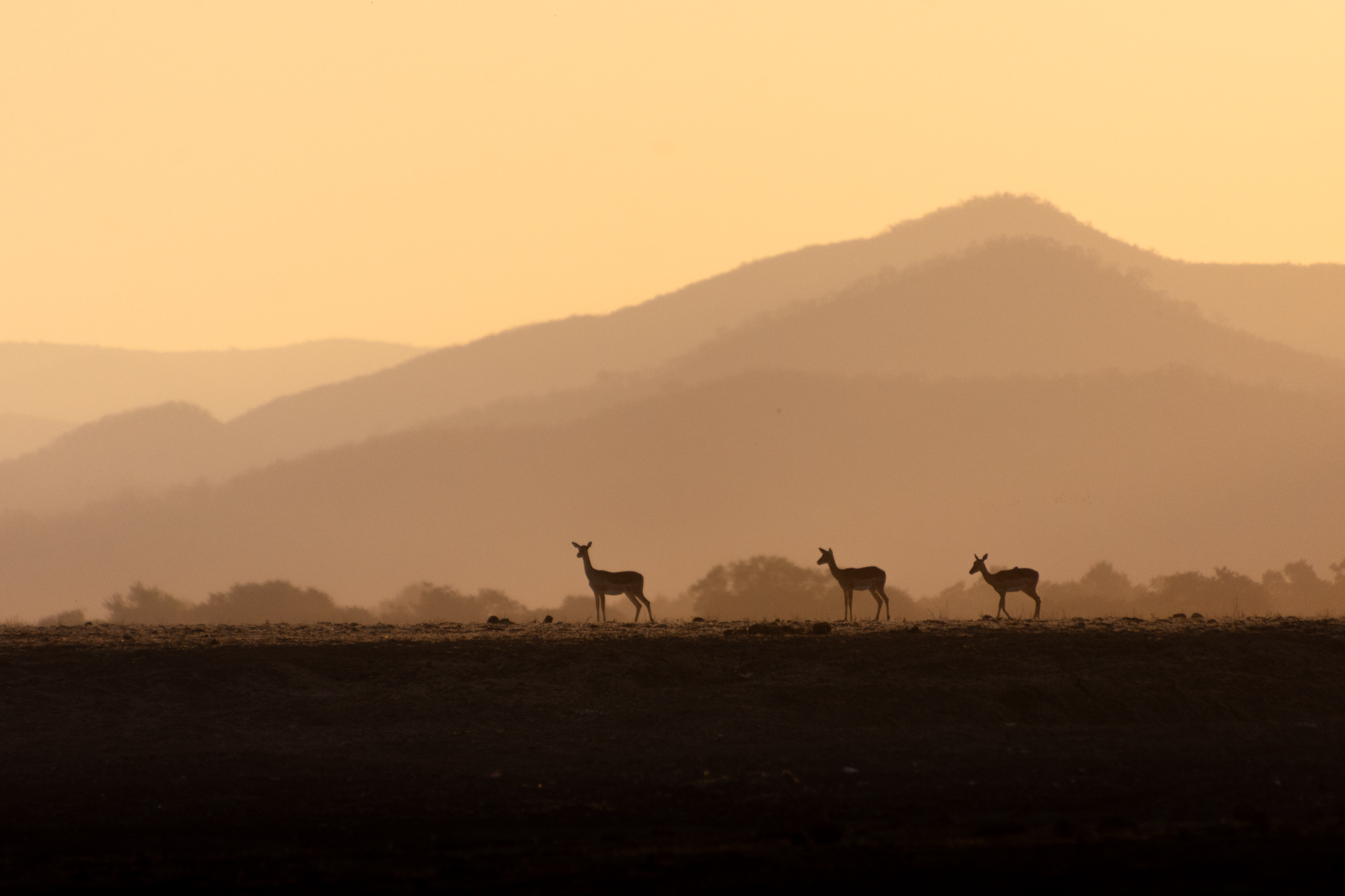 Lower-Zambezi-Nationalpark-Sambia-Globetrotter-Select-30