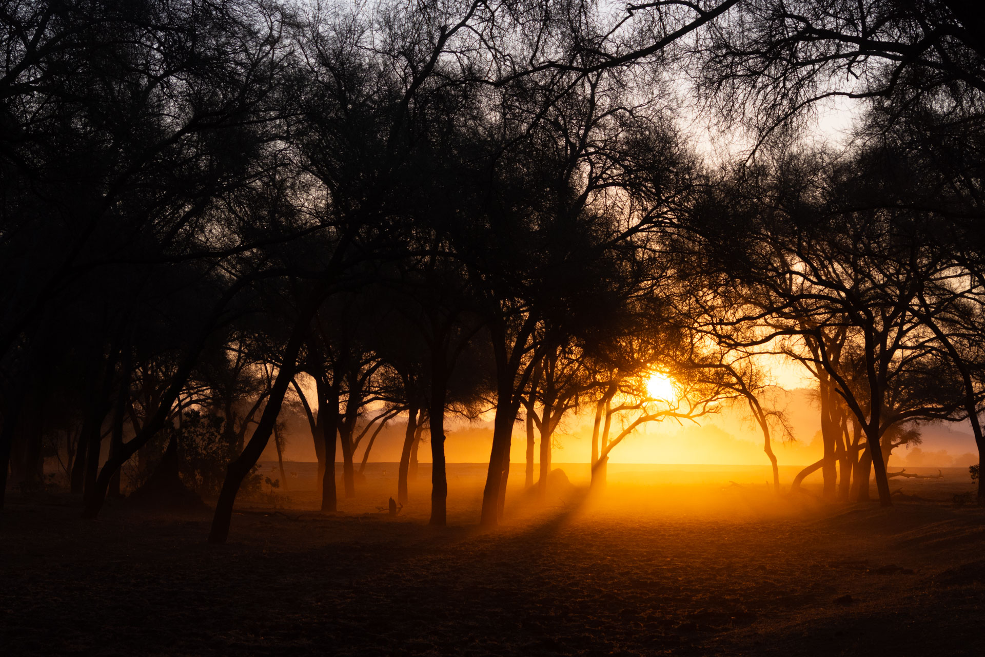 Lower-Zambezi-Nationalpark-Sambia-Globetrotter-Select-36