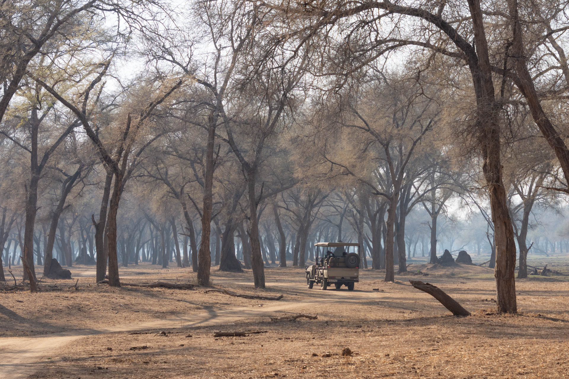 Lower-Zambezi-Nationalpark-Sambia-Globetrotter-Select-45