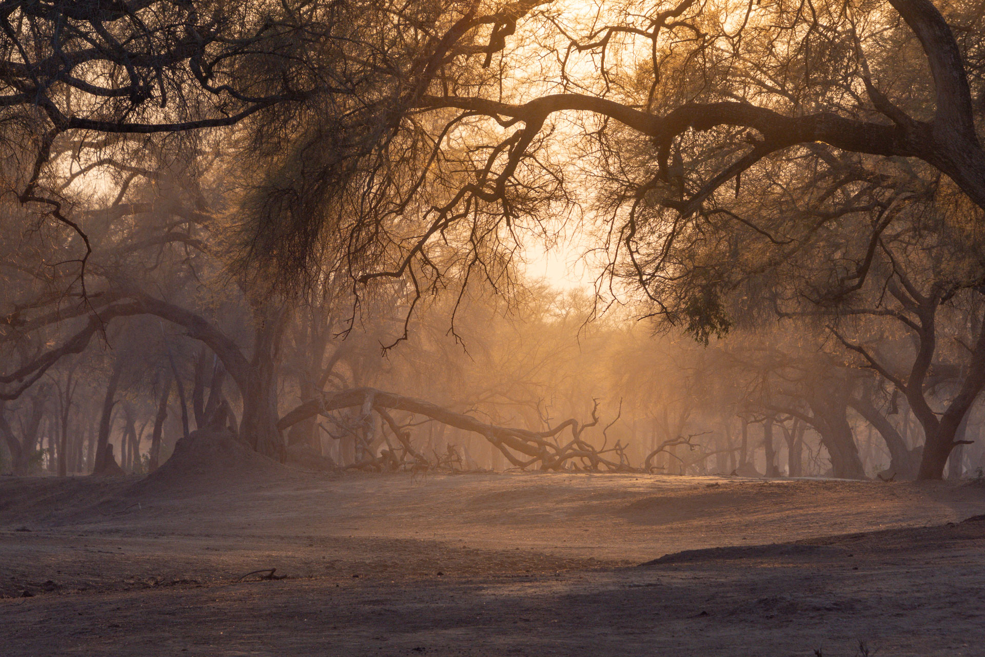 Lower-Zambezi-Nationalpark-Sambia-Globetrotter-Select-77