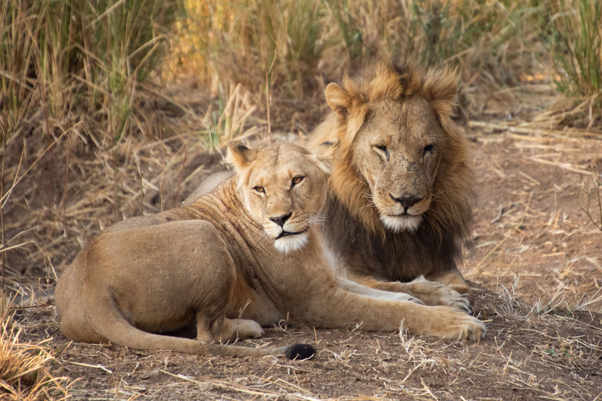 Lower-Zambezi-Nationalpark-Sambia-Globetrotter-Select-78
