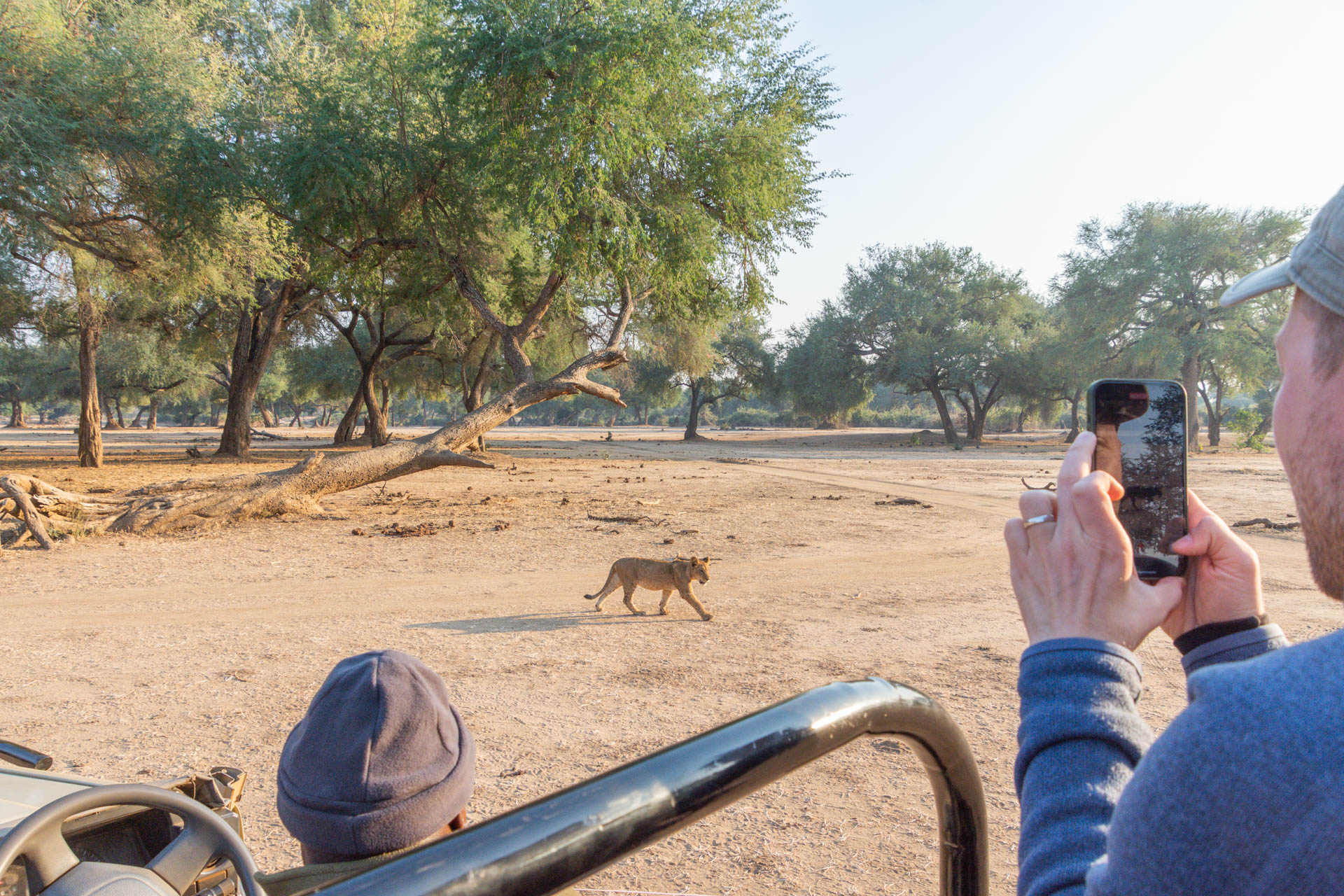 Lower-Zambezi-Nationalpark-Sambia-Globetrotter-Select-96