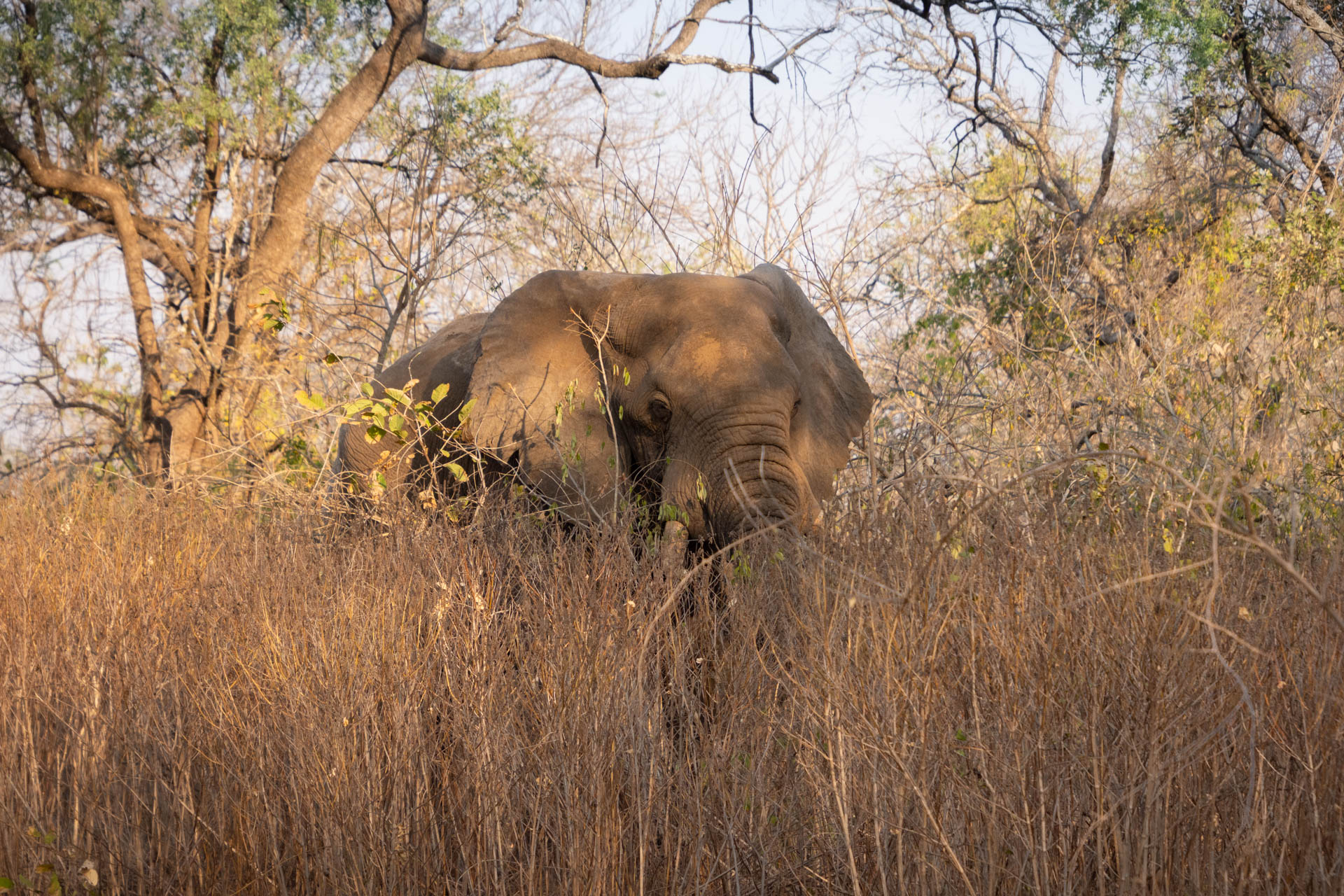 Majete-Wildlife-Reserve-Malawi-Globetrotter-Select-18