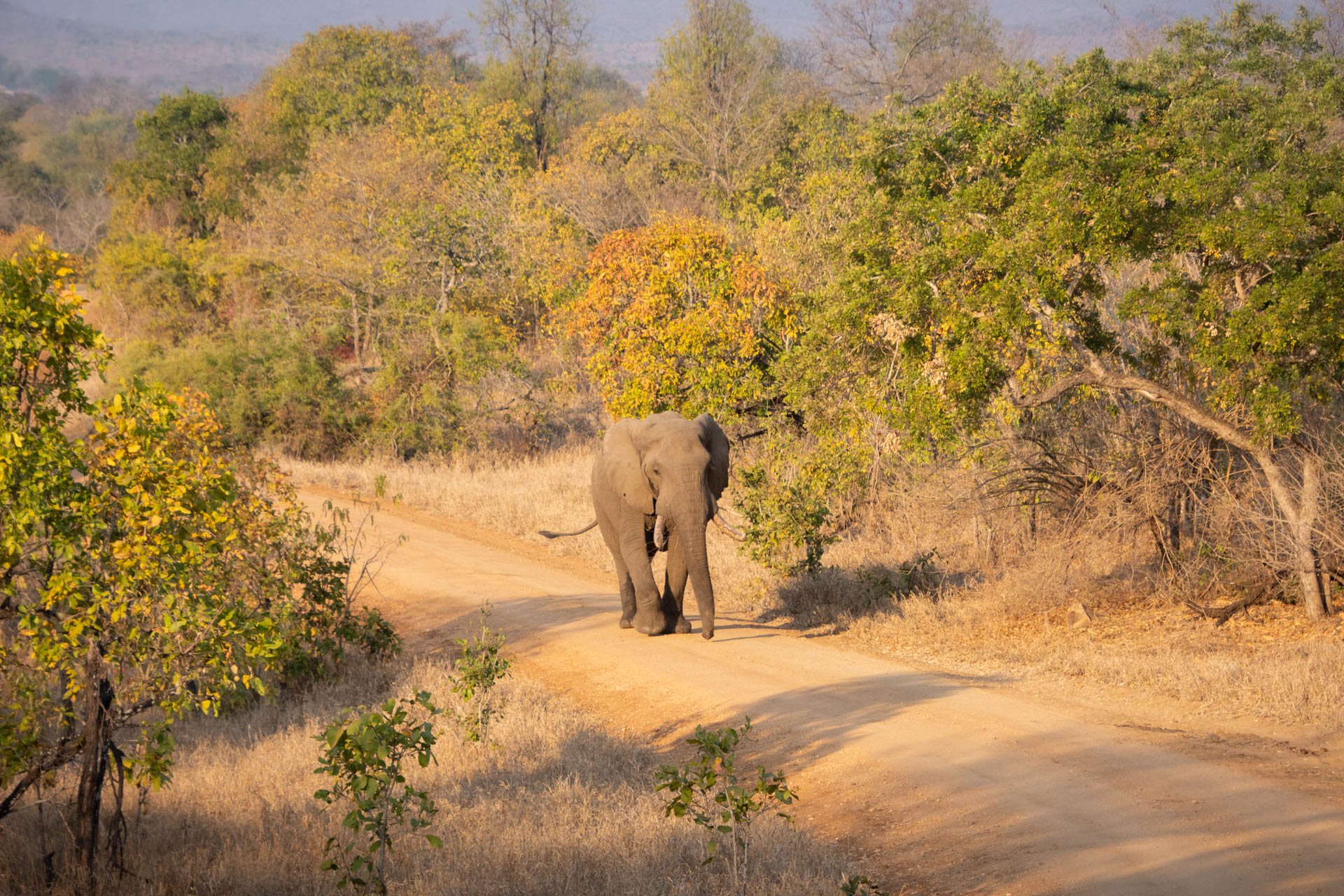 Majete-Wildlife-Reserve-Malawi-Globetrotter-Select-19