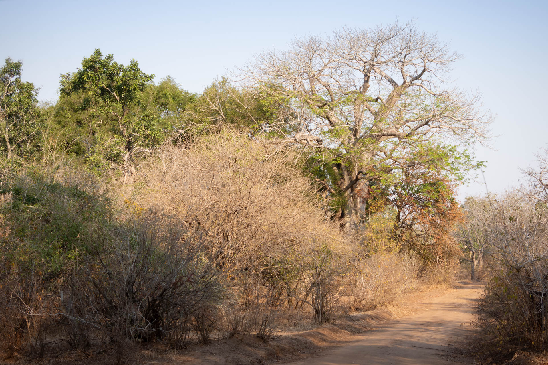 Majete-Wildlife-Reserve-Malawi-Globetrotter-Select-21