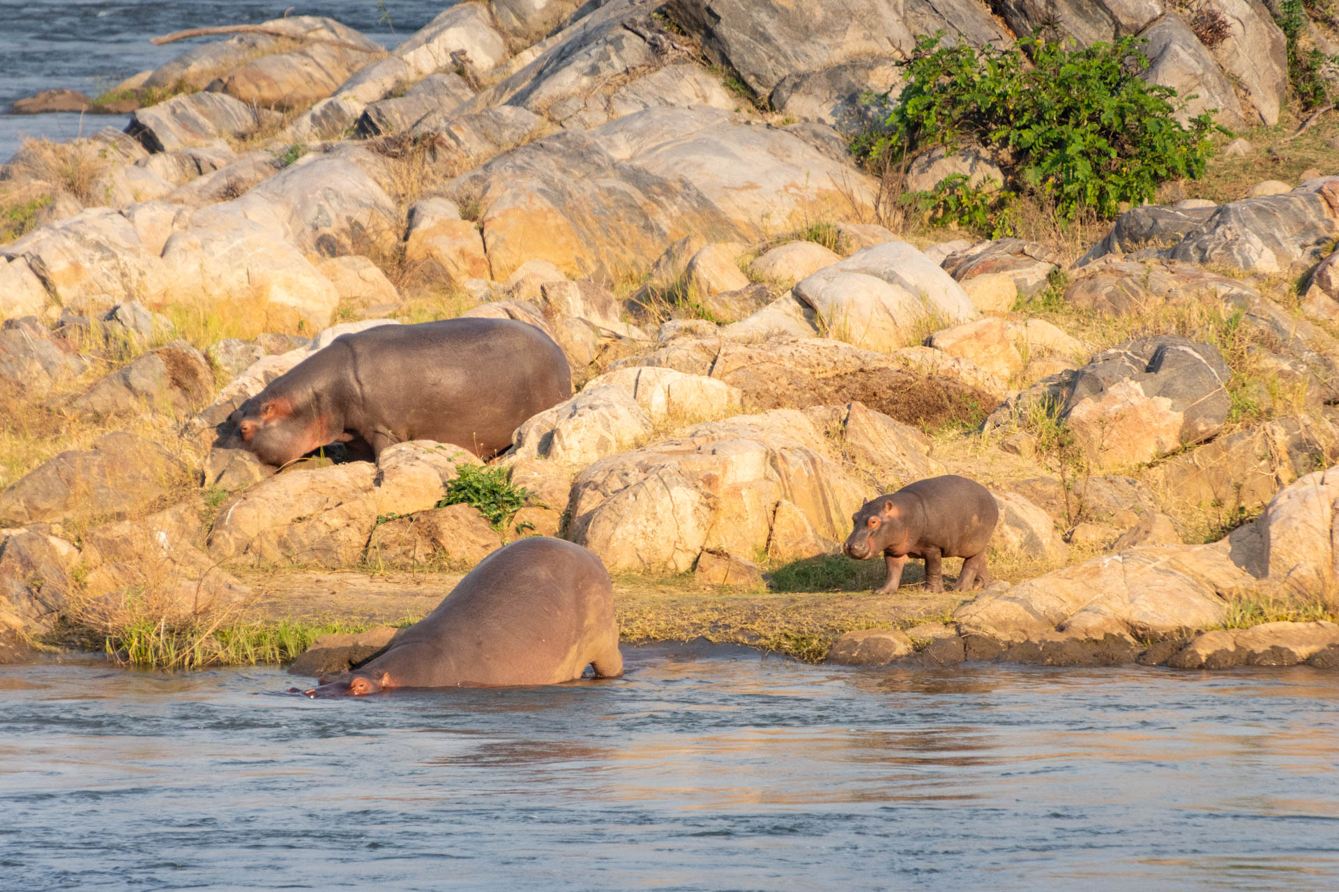 Majete-Wildlife-Reserve-Malawi-Globetrotter-Select-22
