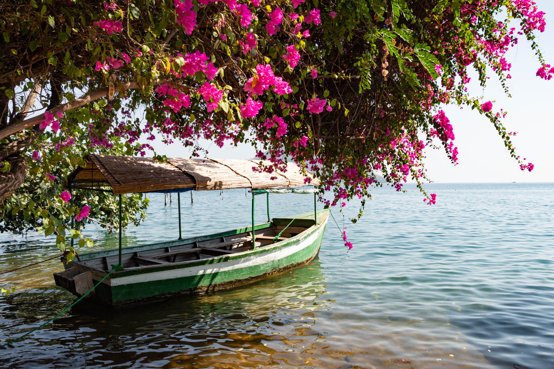 Malawisee-Cape-Maclear-Globetrotter-Select-11