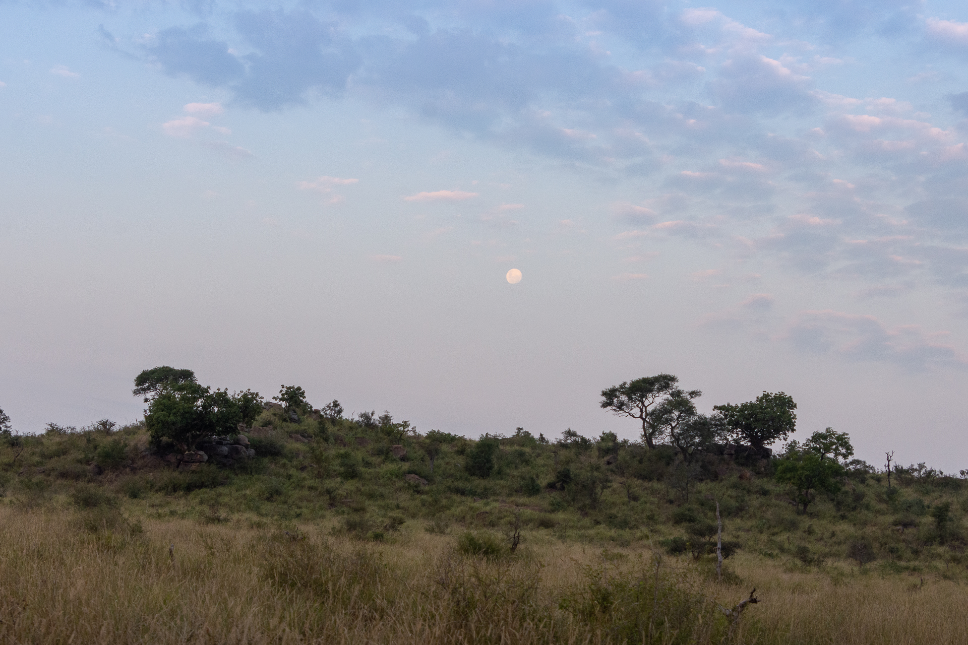 Manyeleti-Kruger-Suedafrika-Globetrotter-Select-14