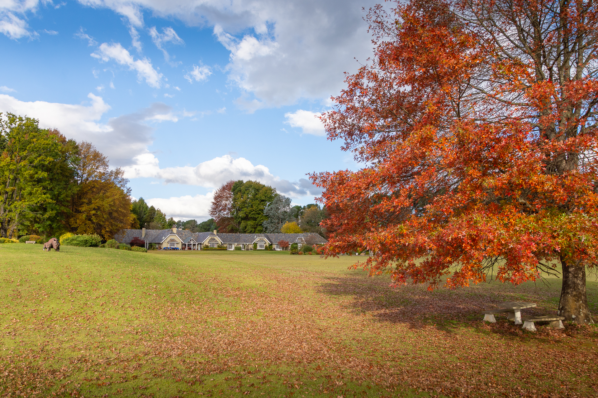 Moorcroft Manor Globetrotter Select 12