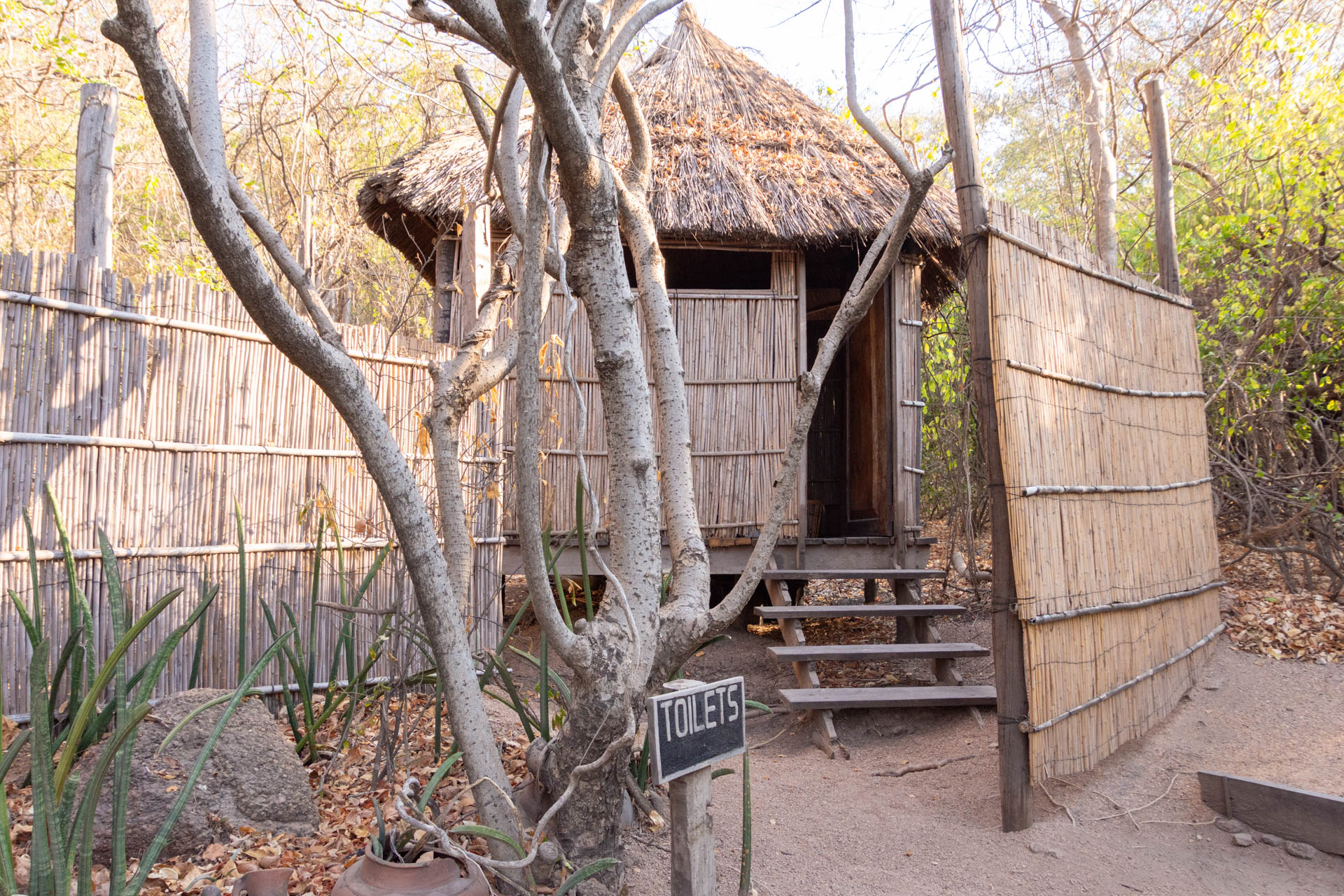 Mumbo-Island-Malawisee-Globetrotter-Select-37