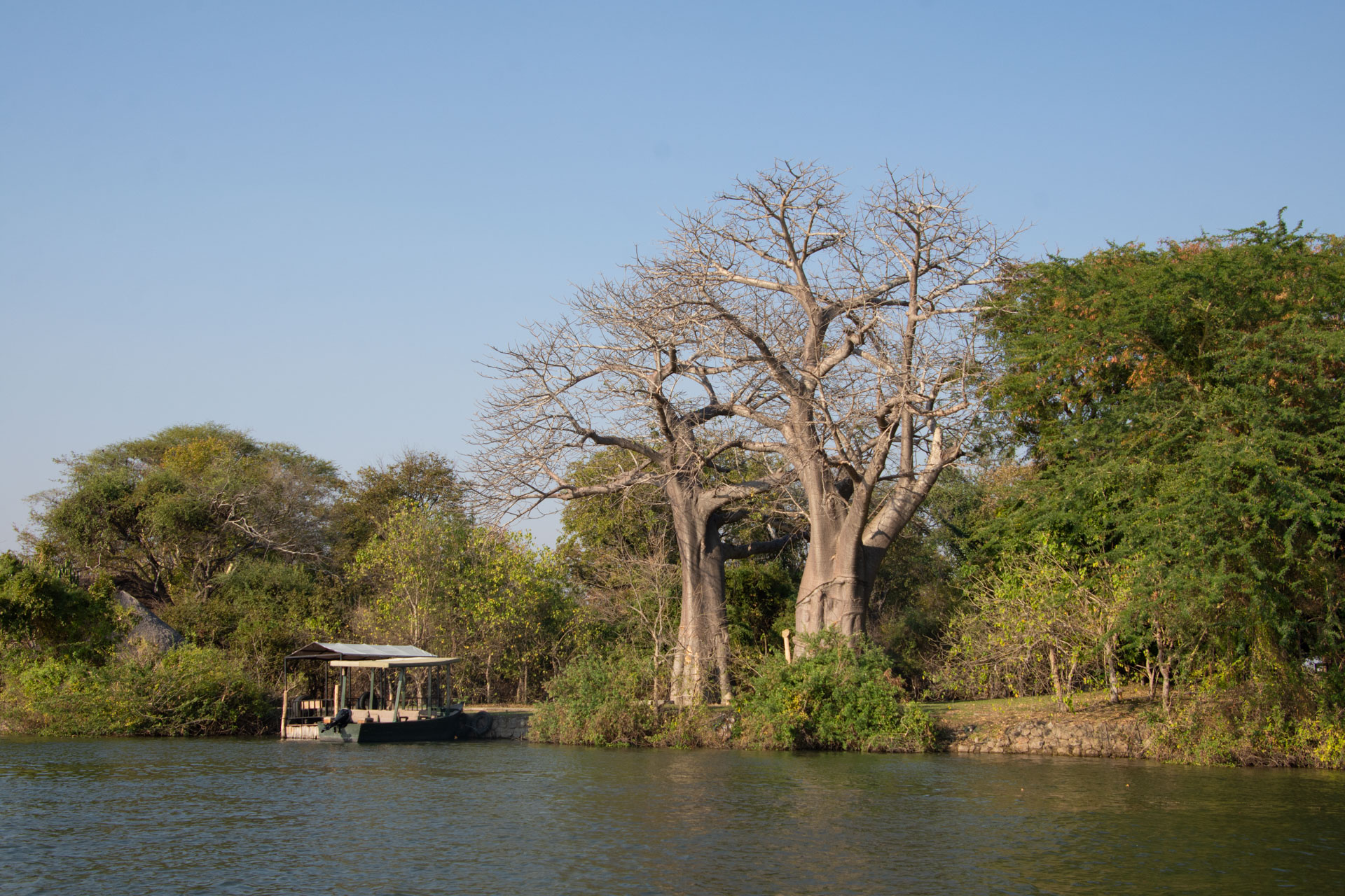 Mvuu-Lodge-Malawi-Globetrotter-Select-1