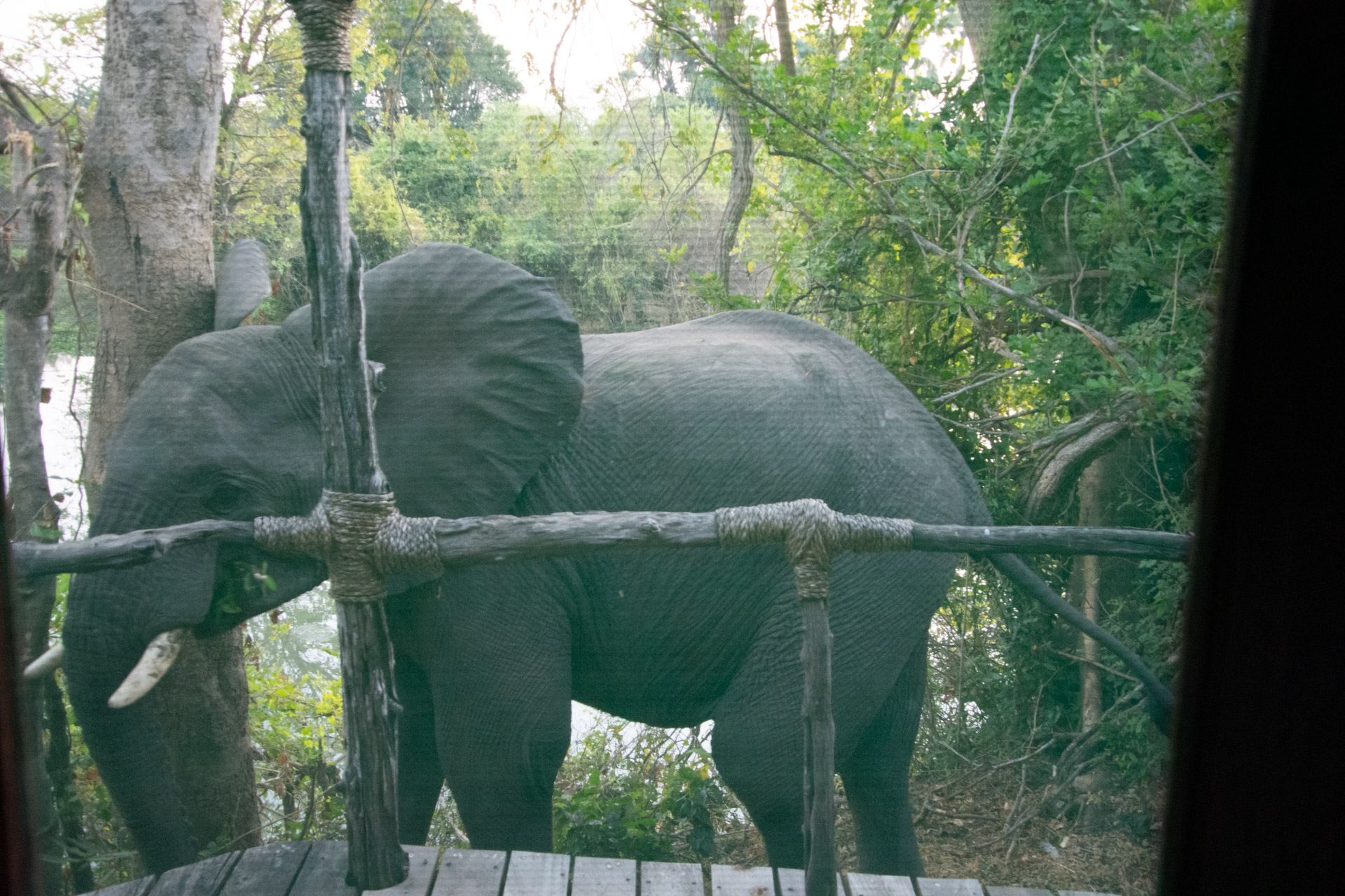 Mvuu-Lodge-Malawi-Globetrotter-Select-7