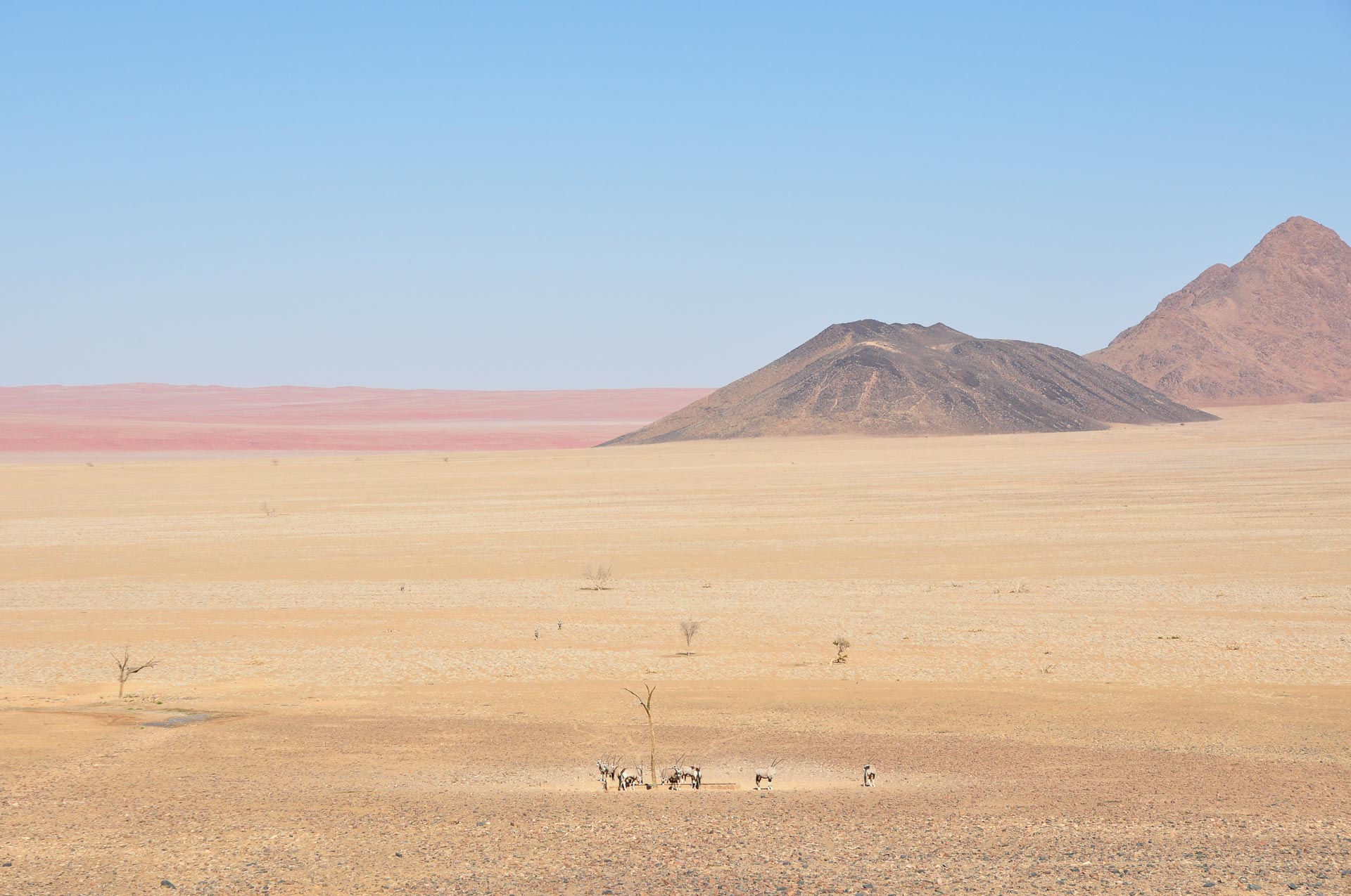 Namib-Rand-Wueste-Namibia-Globetrotter-Select-10